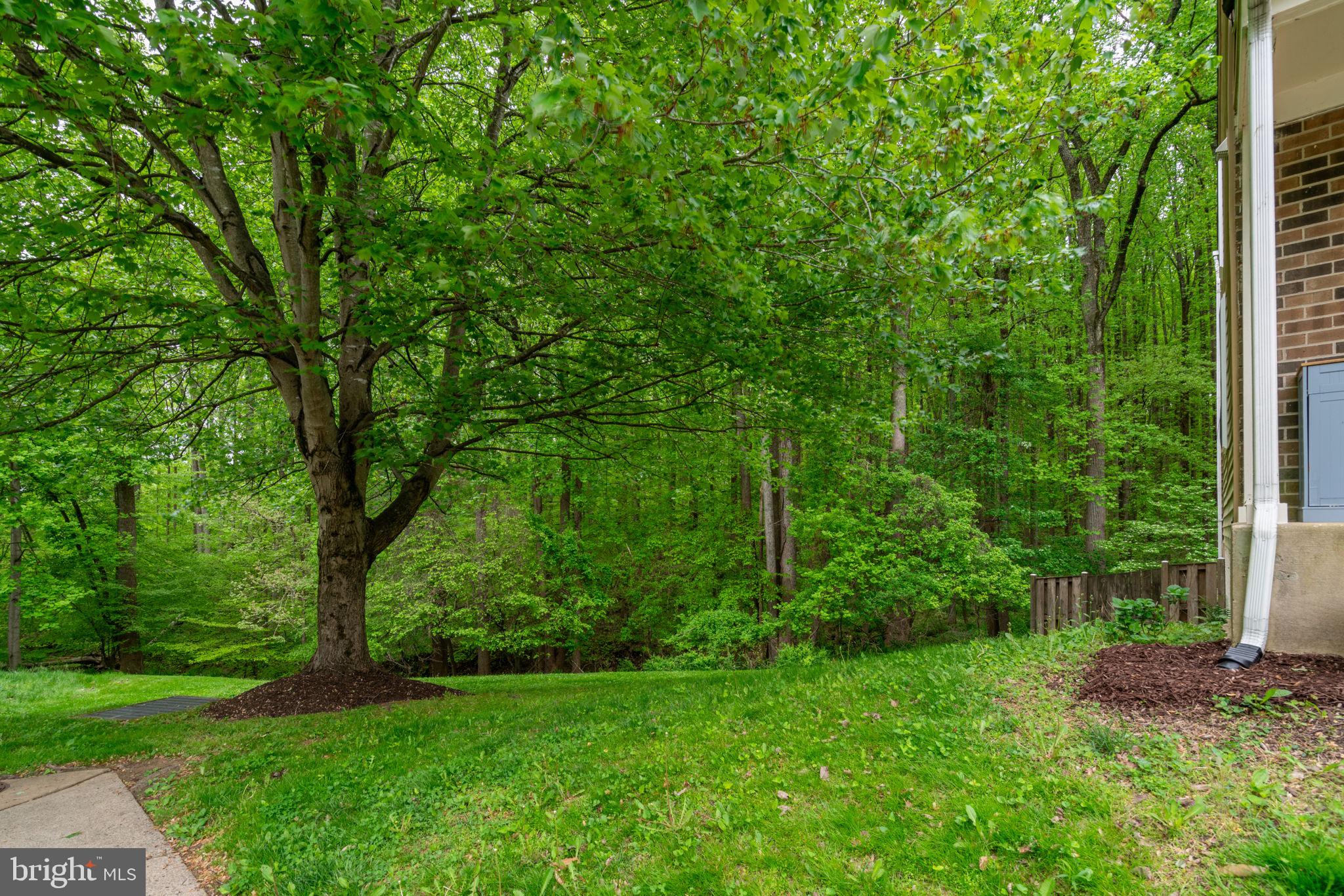 BONIFANT WOODS - Residential