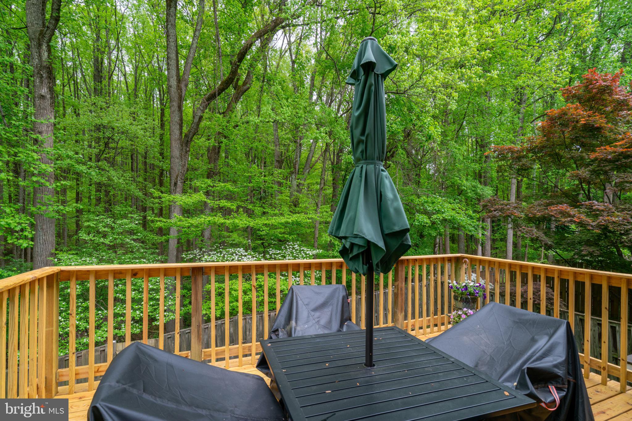 BONIFANT WOODS - Residential