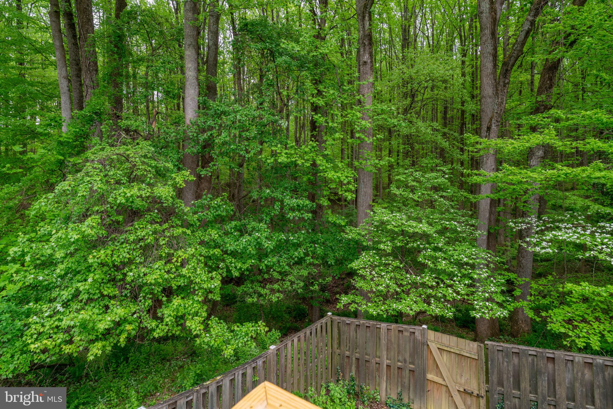 BONIFANT WOODS - Residential
