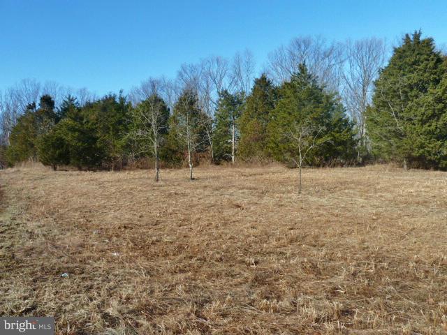 GAFIA ESTATES AT LAKE JOHN - Land