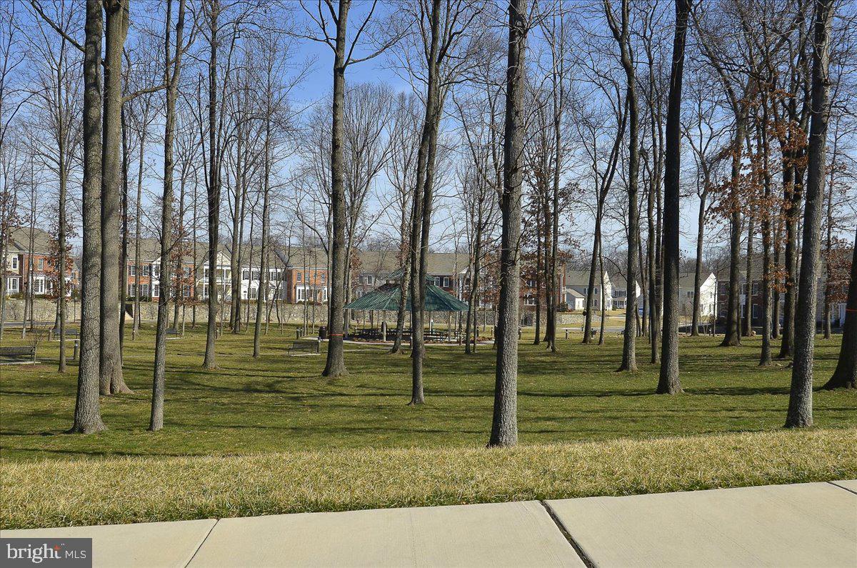 RED CEDAR MIDDLE VILLAGE - Residential