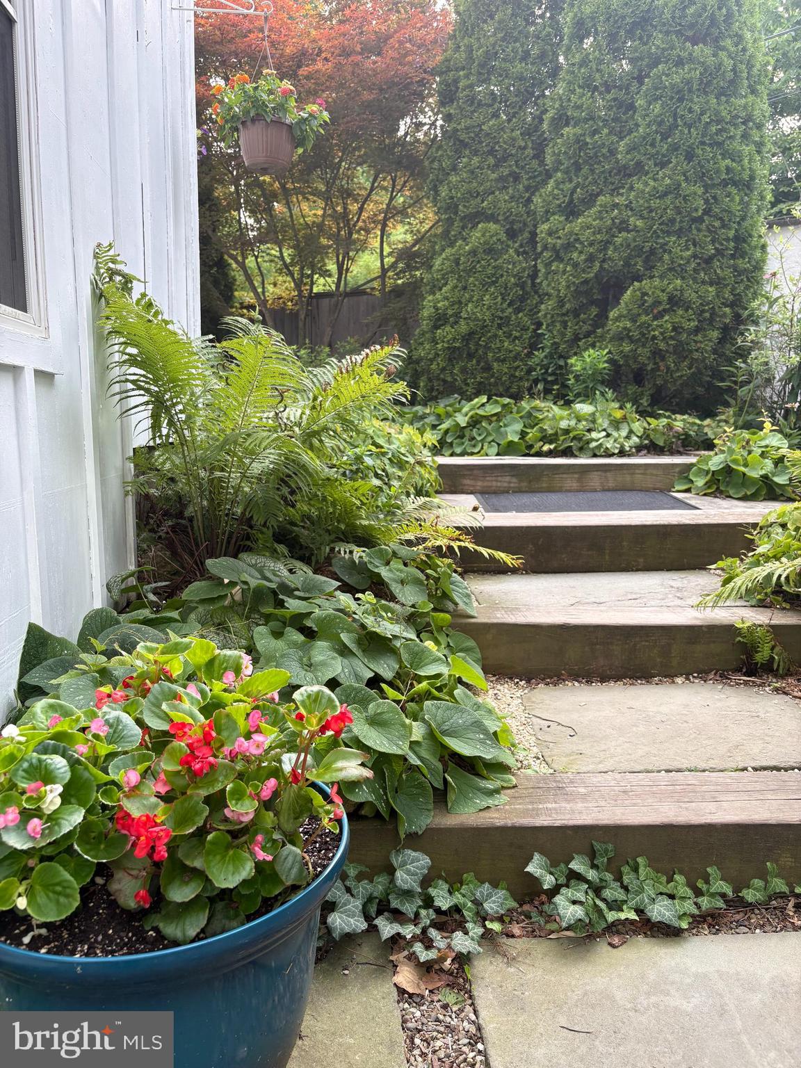 SPRING VALLEY - Residential