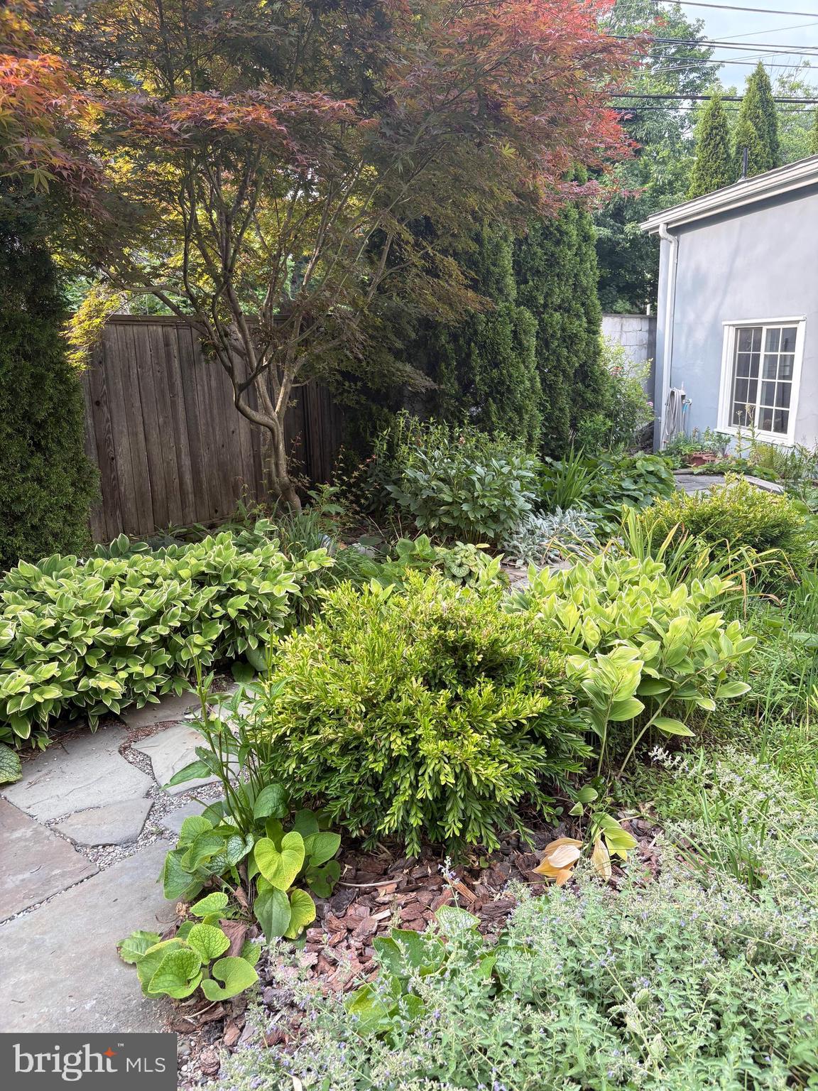 SPRING VALLEY - Residential