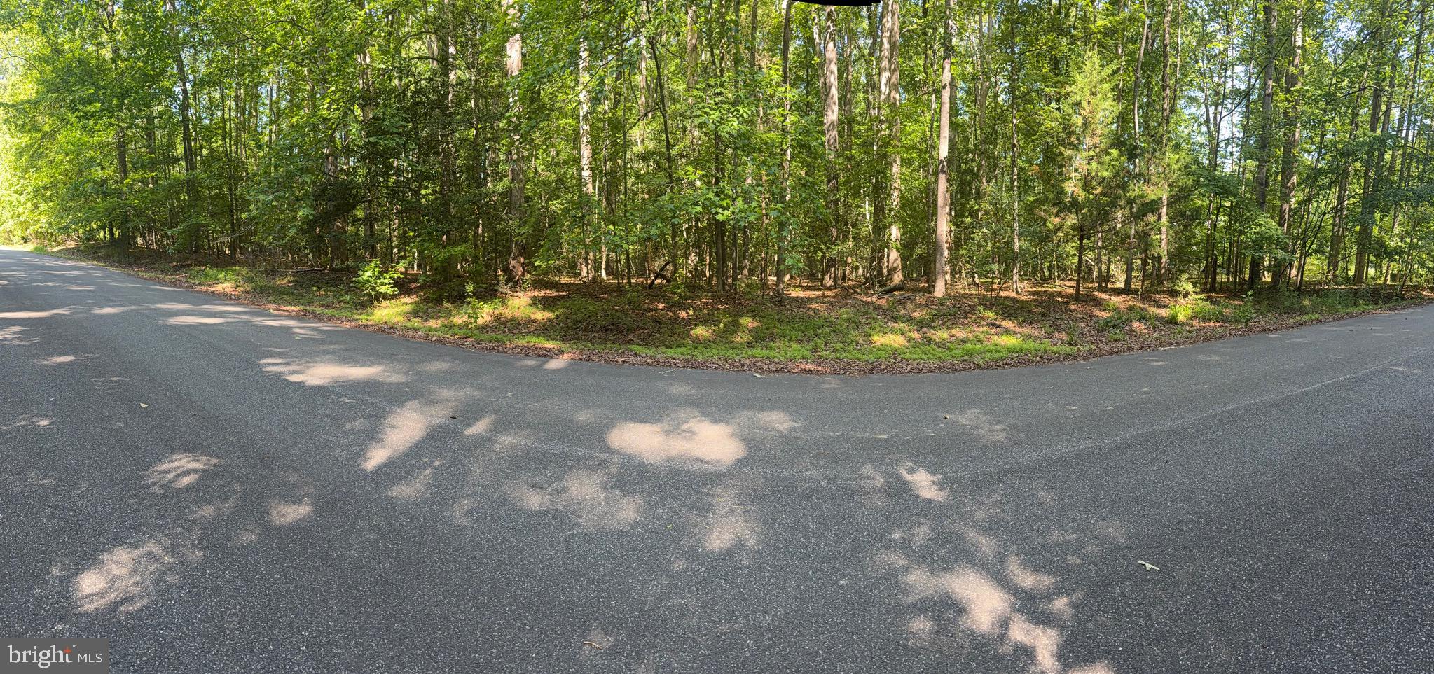 Ready to build the home you've always envisioned? This 10.47-acre wooded parcel in Snow Hill sits peacefully at the end of a cul-de-sac, giving you maximum privacy and minimal traffic. The mature timber provides a stunning natural backdrop and natural wind buffer for your future home site. With over 10 acres to work with, there's room for a large home, detached garage, workshop, gardens, trails, and more. Don't miss this rare opportunity to own a large tract in a sought-after community!