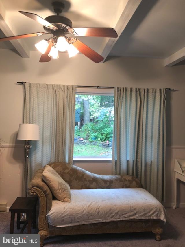 ESSEX - Residential