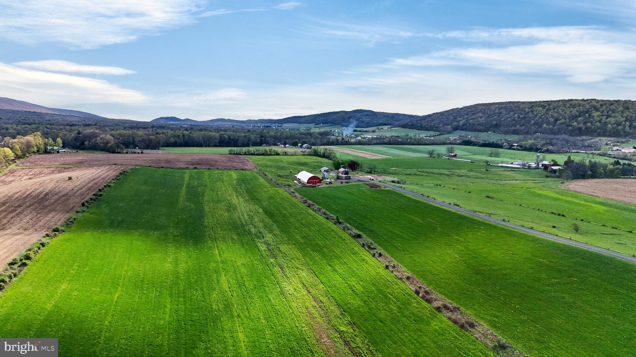 NONE AVAILABLE - Farm