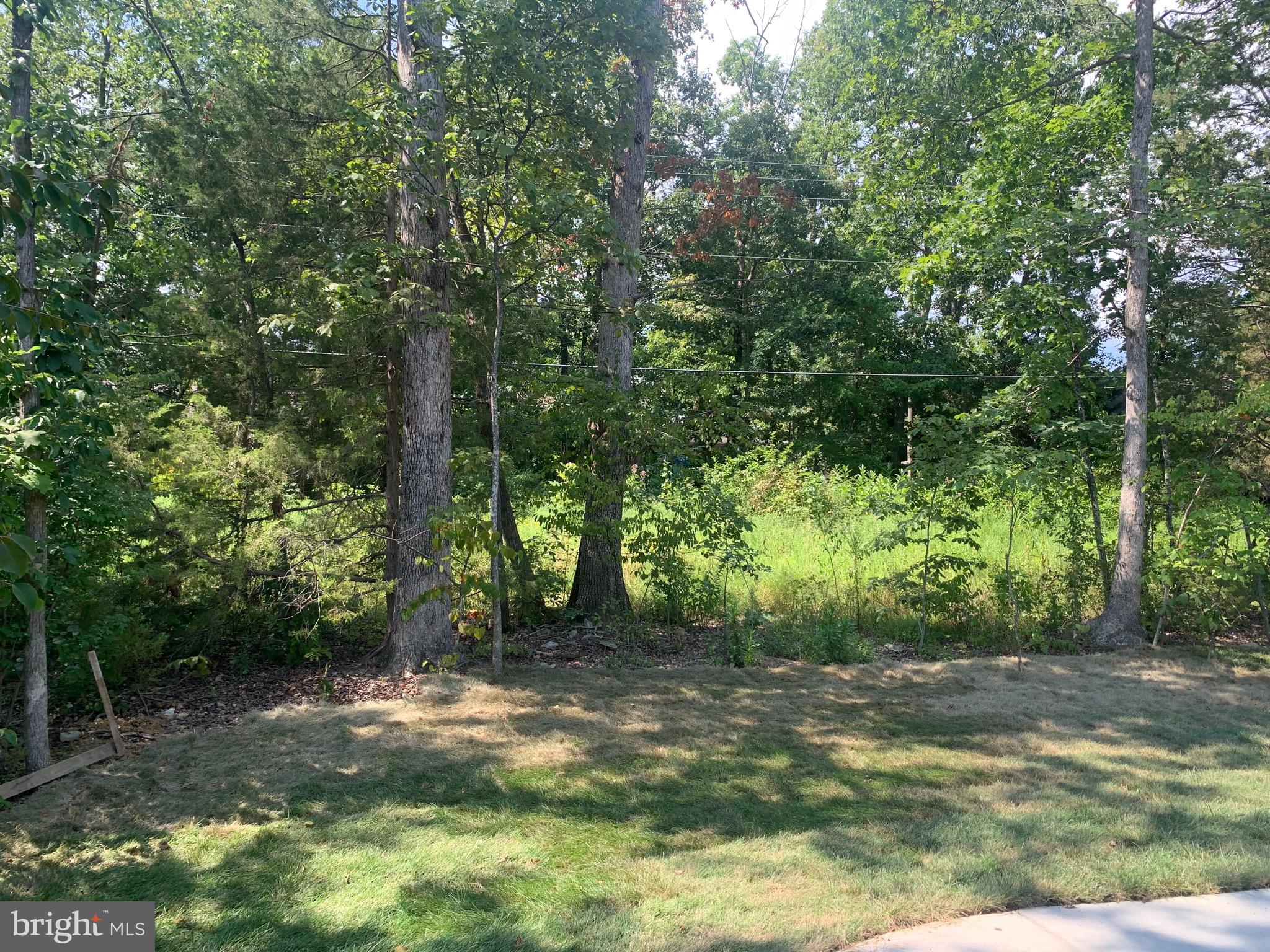 LAKE OF THE WOODS - Residential