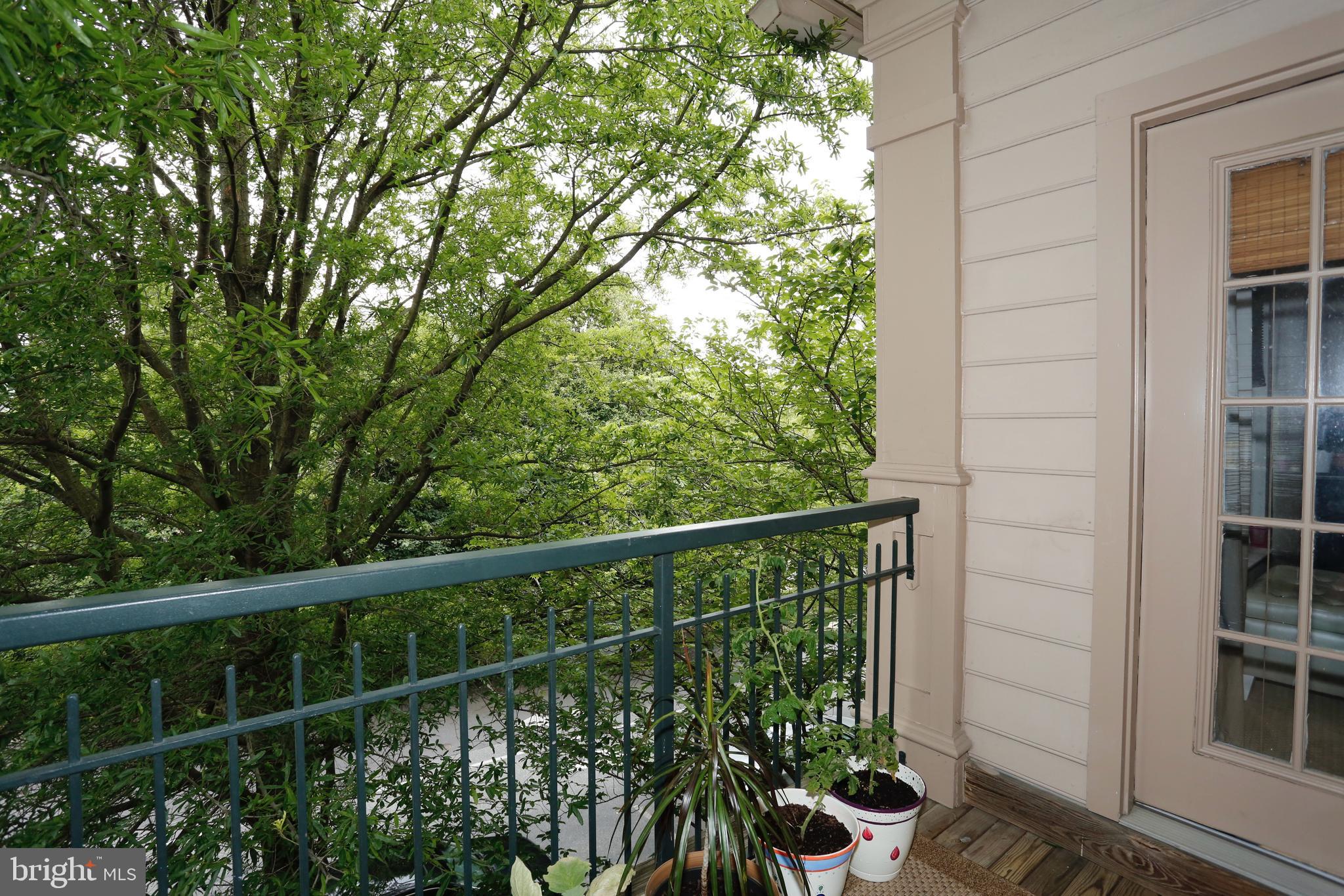 KENTLANDS VIEW - Residential