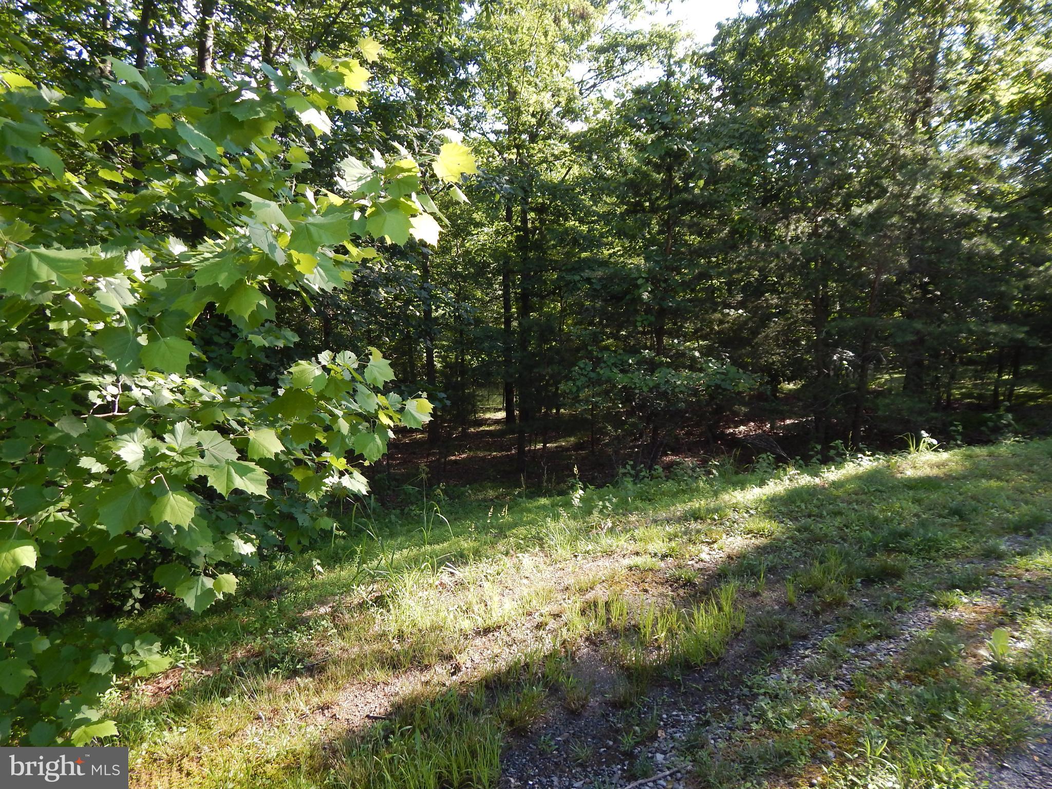 CACAPON SOUTH SECTION 5 - Land