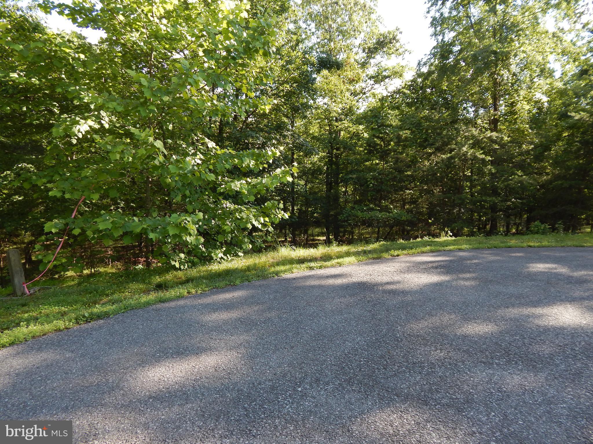 CACAPON SOUTH SECTION 5 - Land