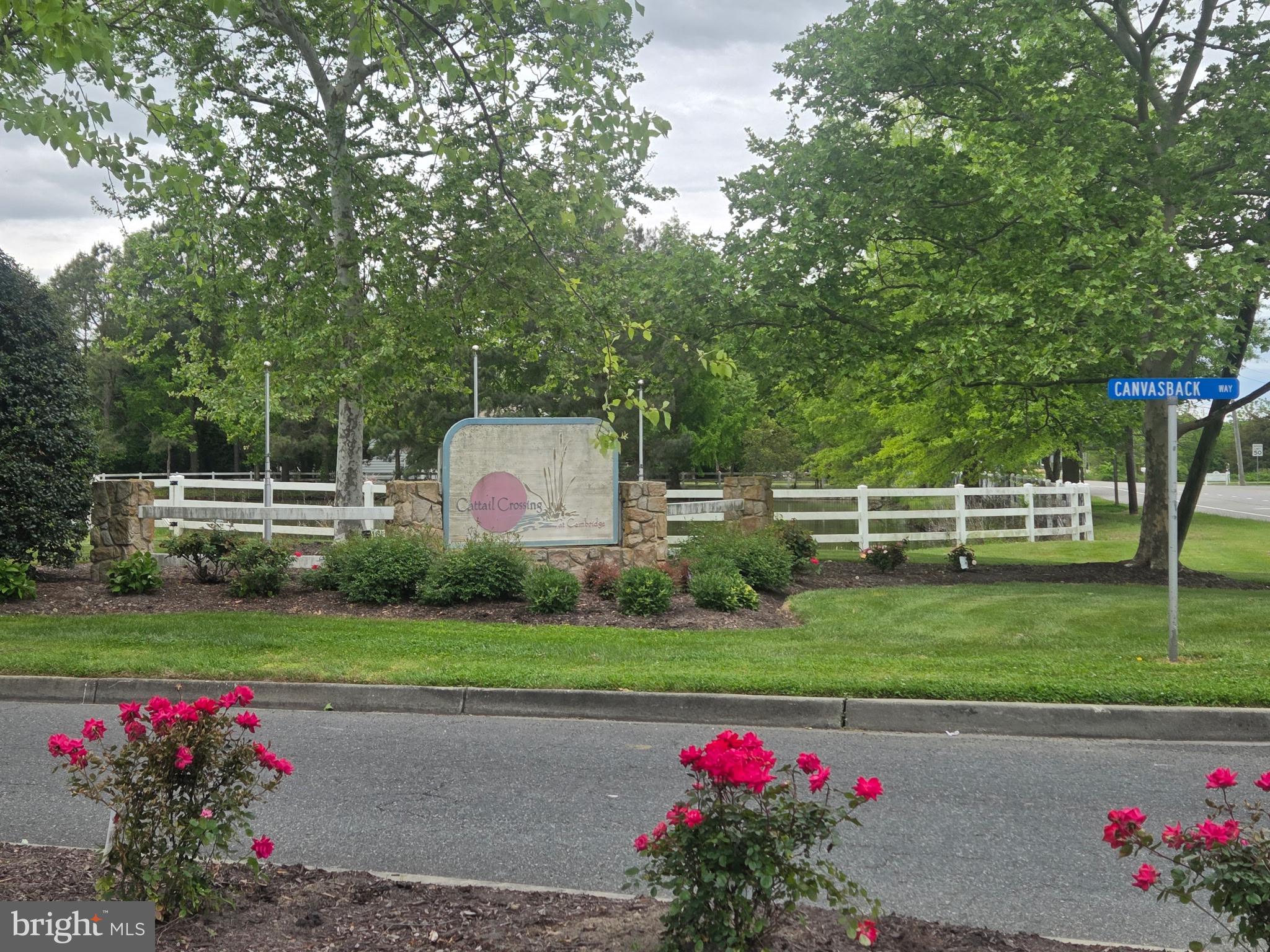 Last remaining building lot in desirable Cattail Crossing! This level homesite offers a great opportunity to build your dream home in an established, well-kept community with amenities, just minutes from downtown Cambridge. Seller has decided to go in a different direction, creating an excellent opportunity for the next owner. Public water and sewer hookup available at the lot, making for an easy build process. Enjoy a peaceful setting situated on quiet cul-de-sac with convenient access to marinas, shopping, and restaurants.