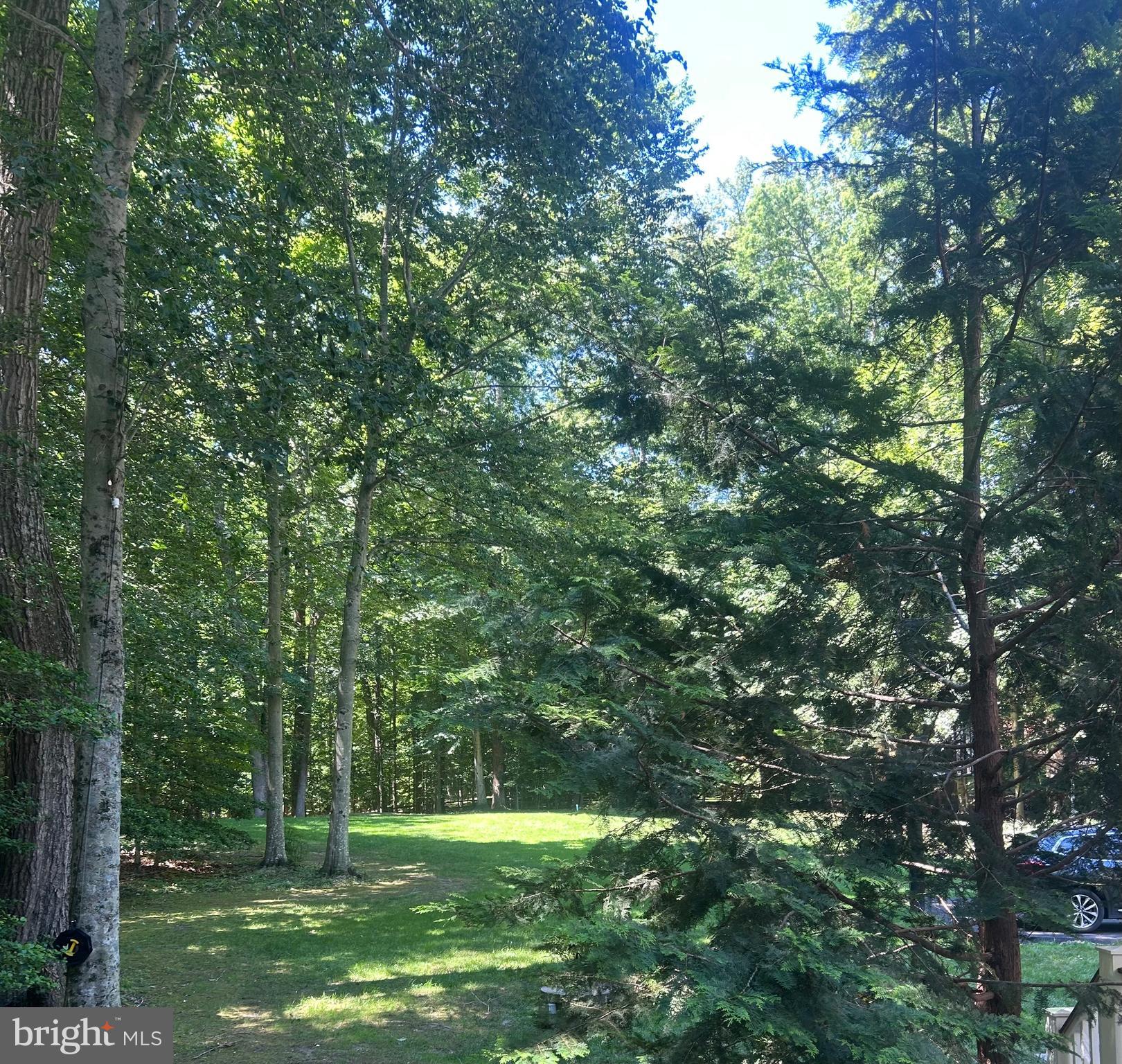 TWELVE OAKS - Residential