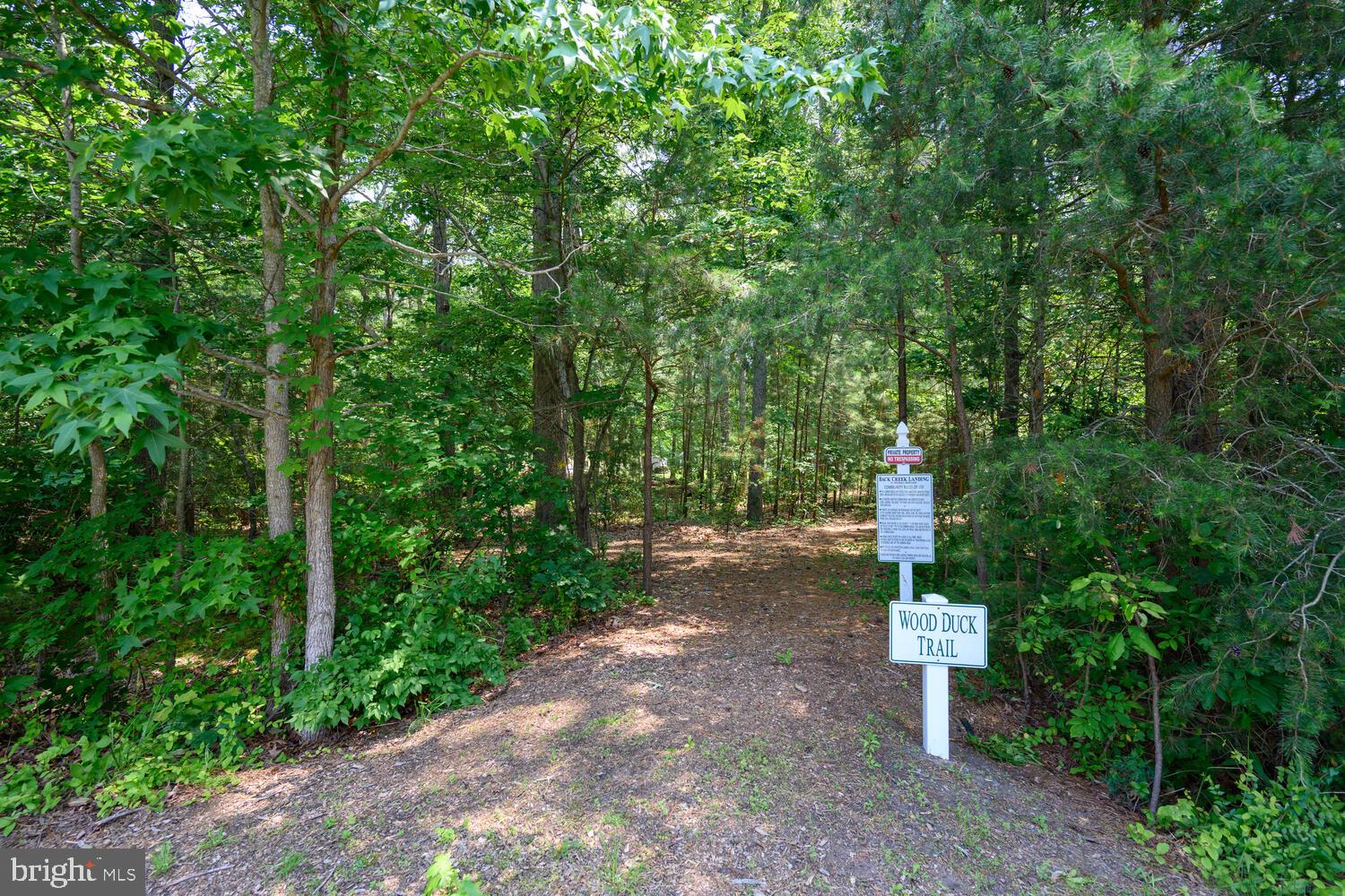 BACK CREEK LANDING - Residential