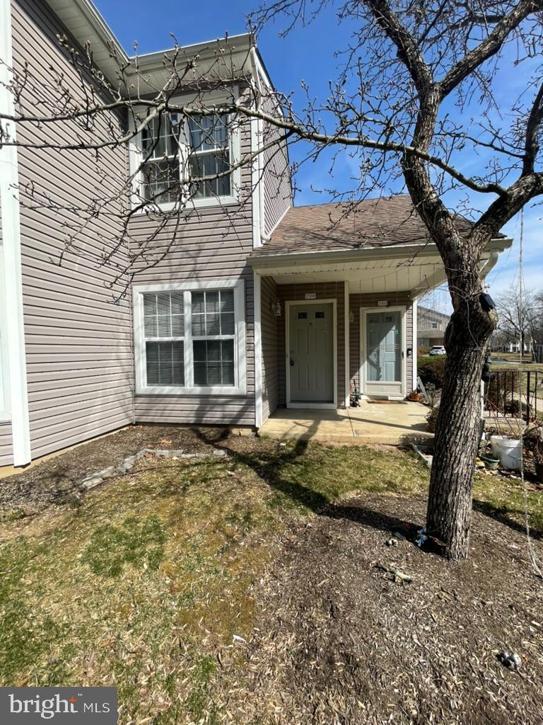 TAMERLANE - Residential Lease