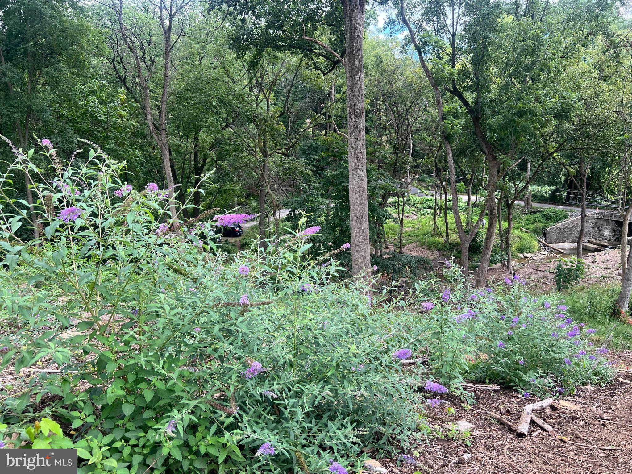 GLADWYNE - Land