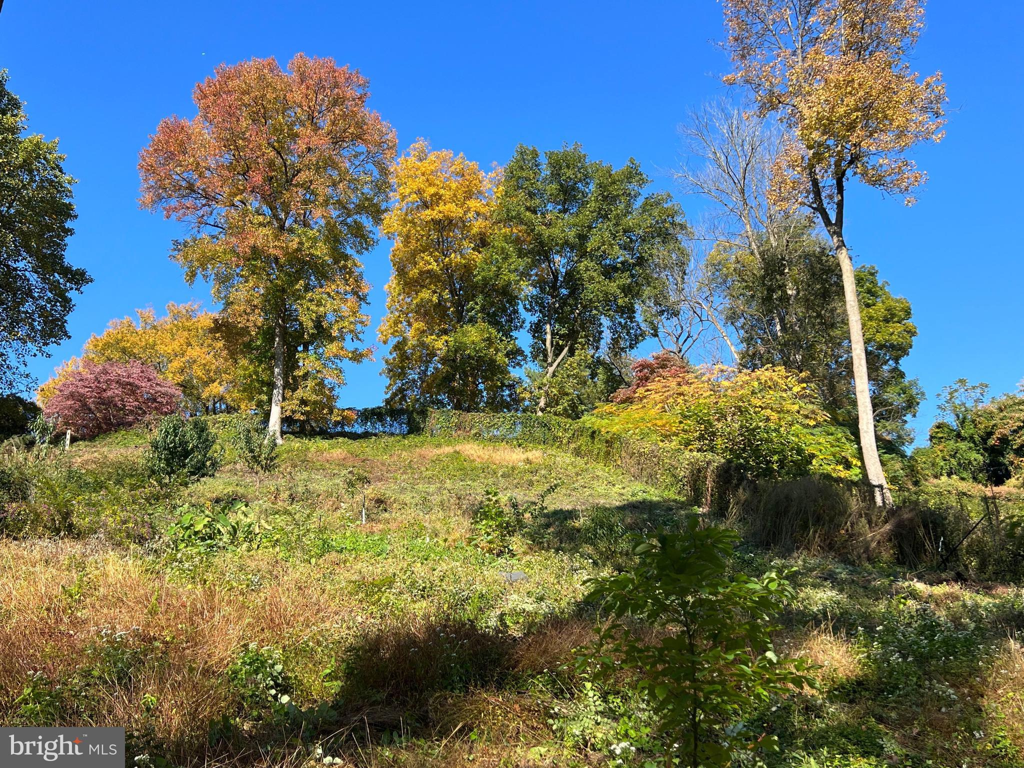 GLADWYNE - Land