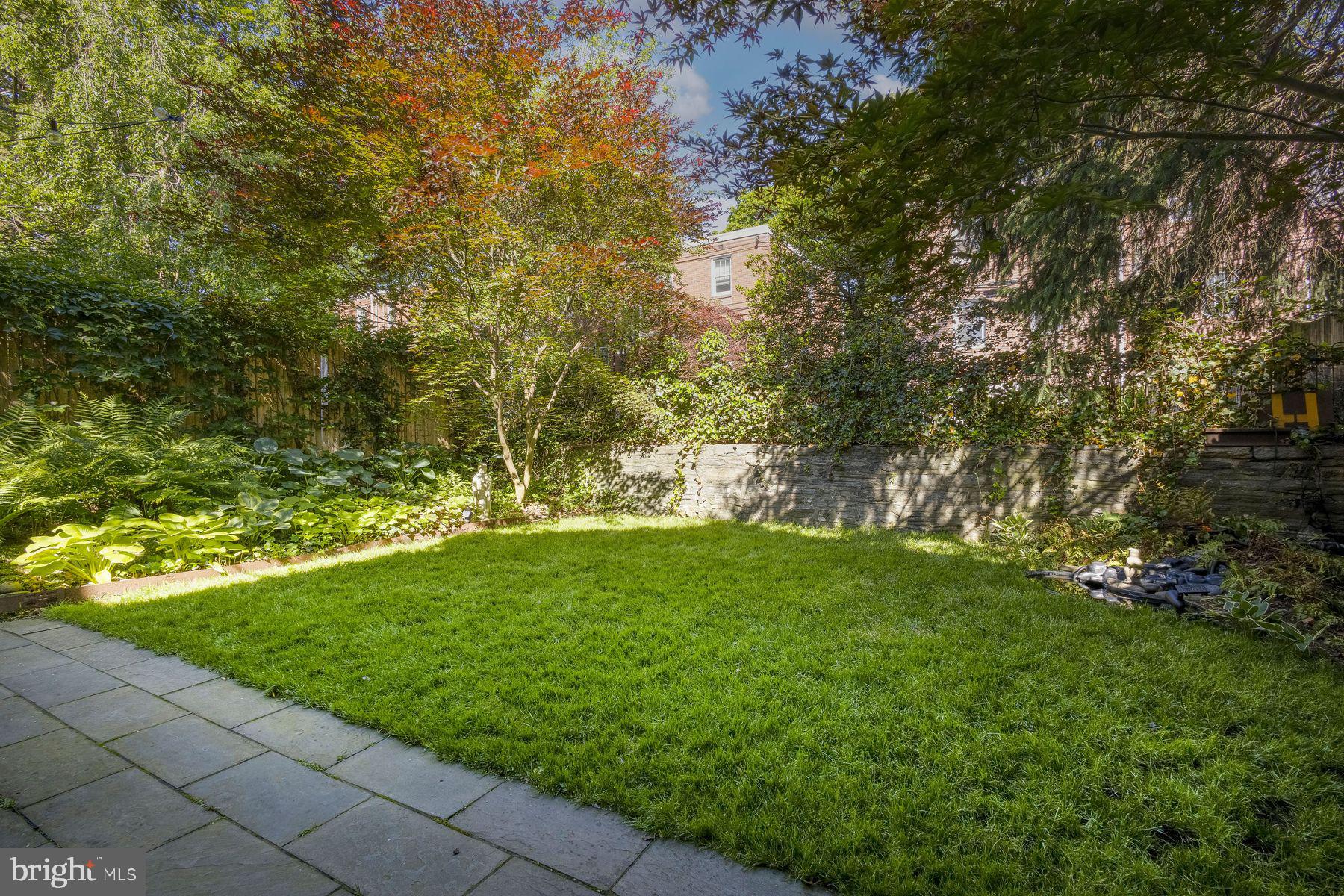 CHESTNUT HILL - Residential