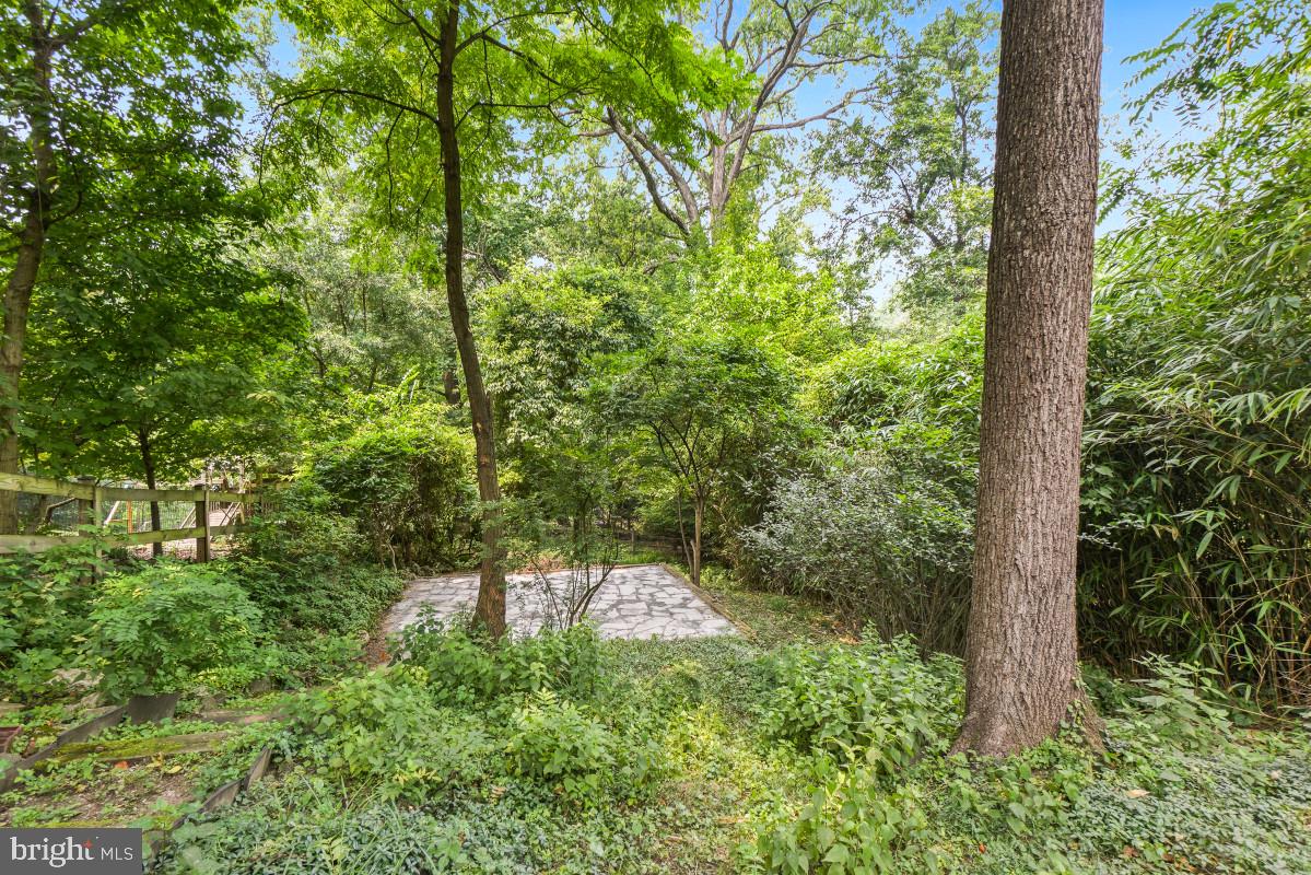 TAKOMA PARK - Residential