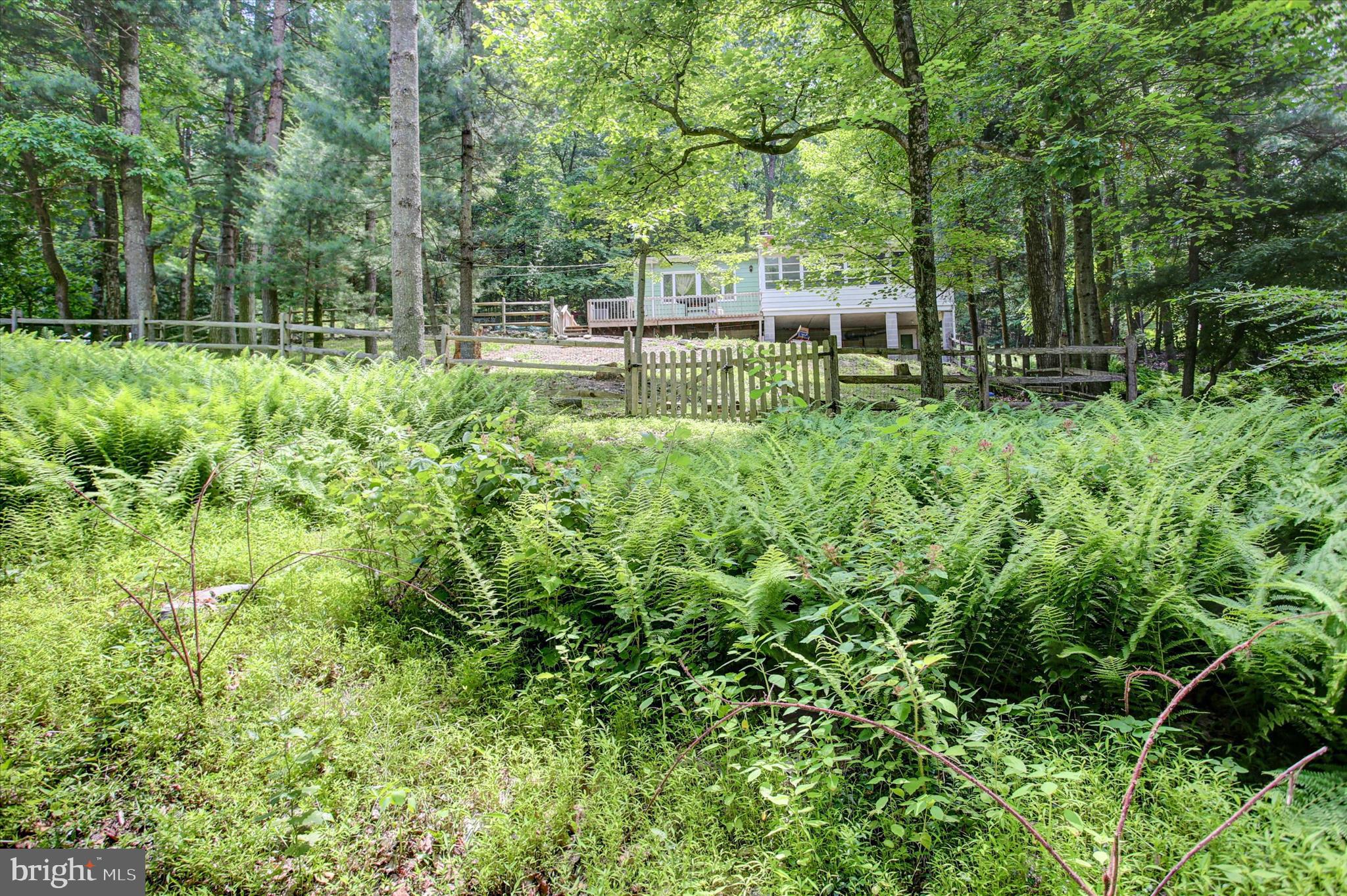 CALADONIA  ACRES - Residential