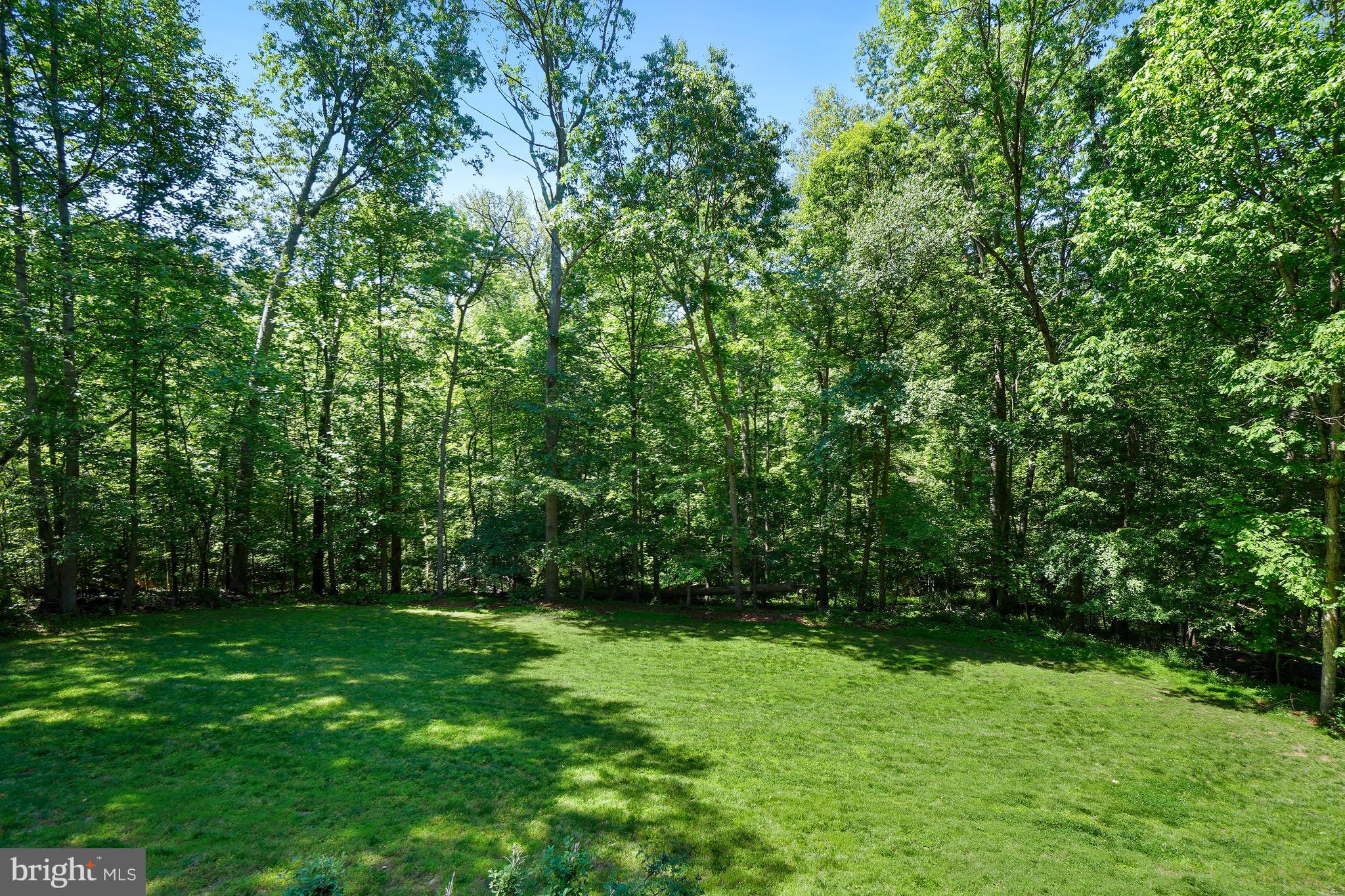 RACCOON RIDGE - Residential