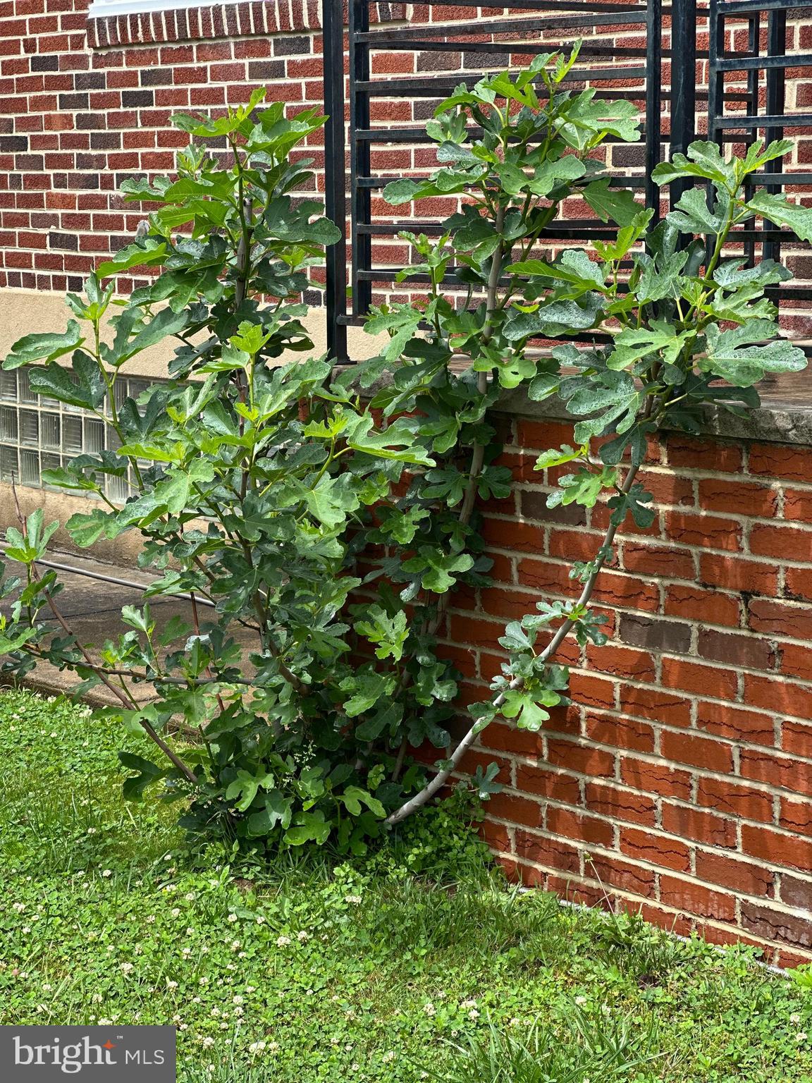 FOX CHASE - Residential