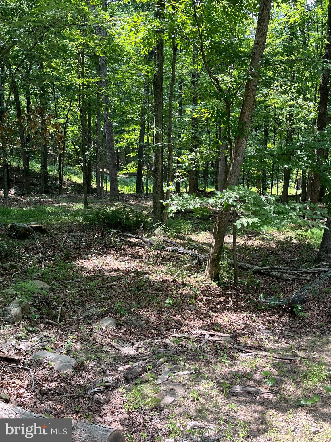 ROUSE MOUNTAIN - Land