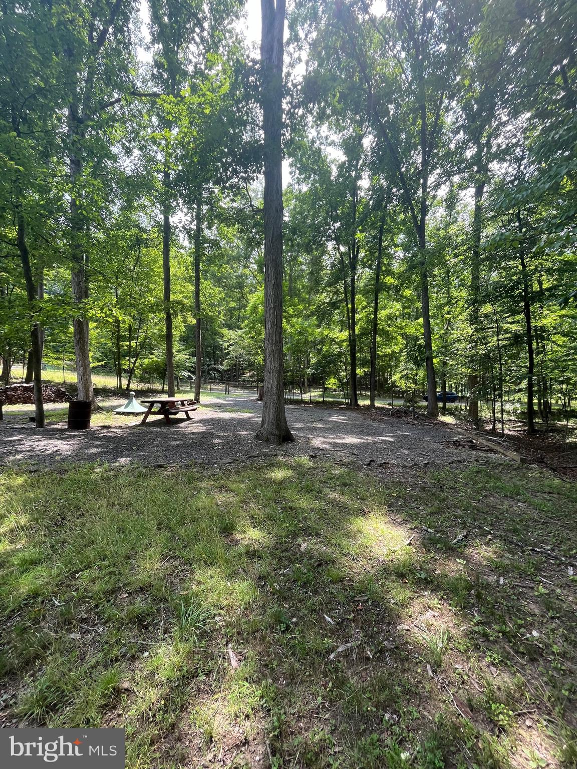 ROUSE MOUNTAIN - Land