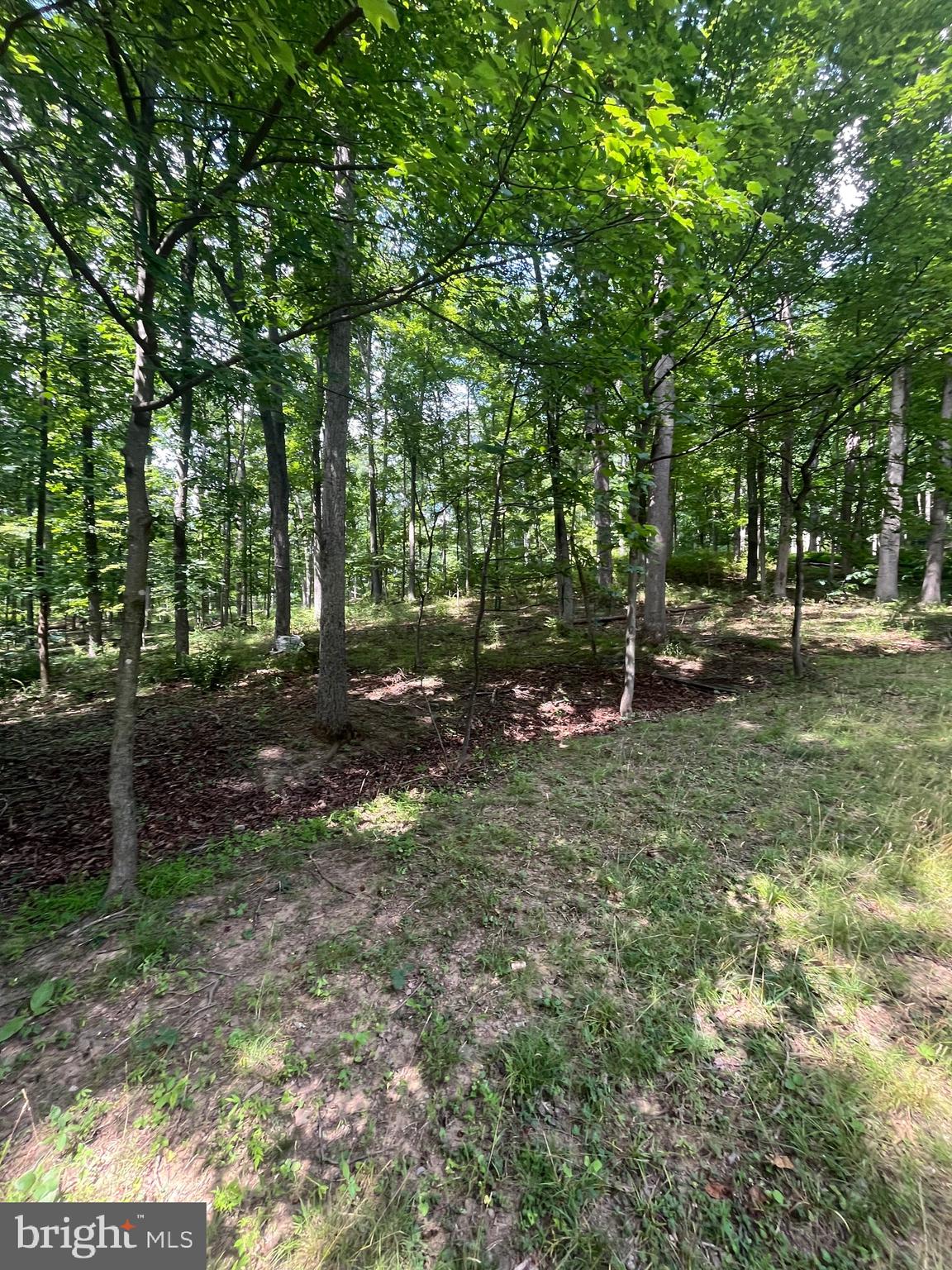 ROUSE MOUNTAIN - Land