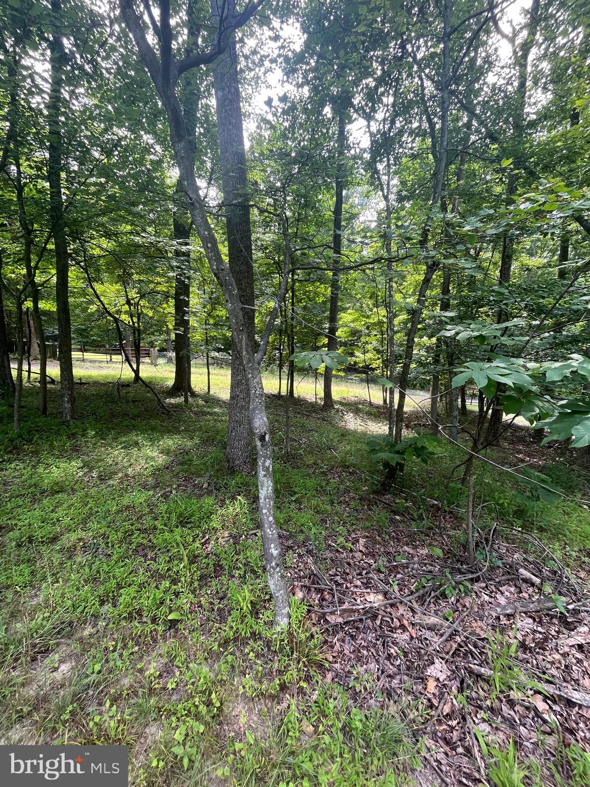 ROUSE MOUNTAIN - Land