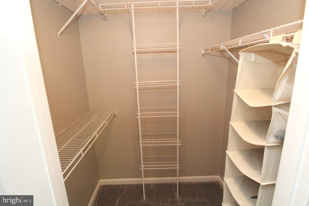 AVONDALE CONDOMINIUM - Residential