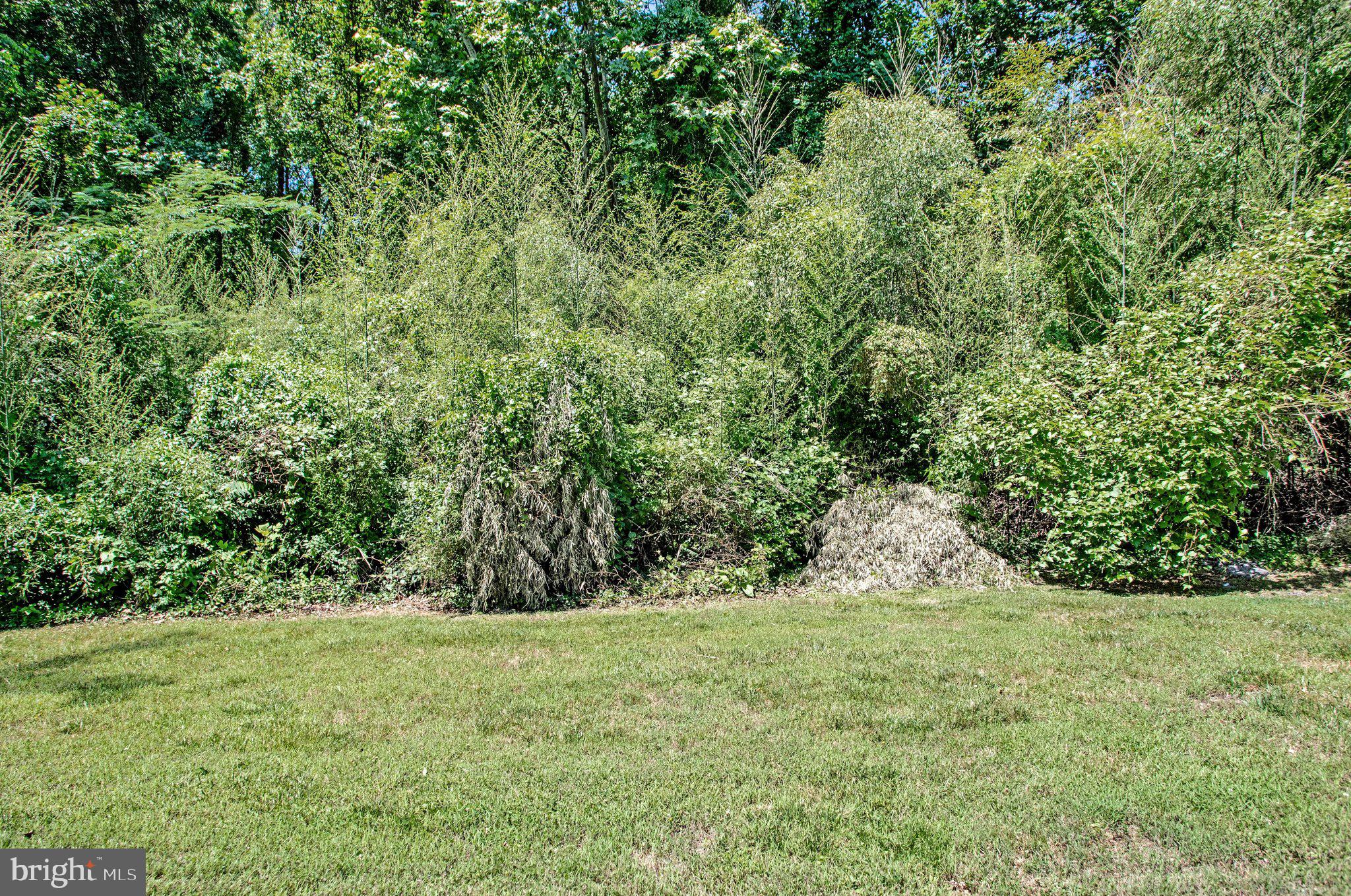 CHESAPEAKE HEIGHTS - Residential