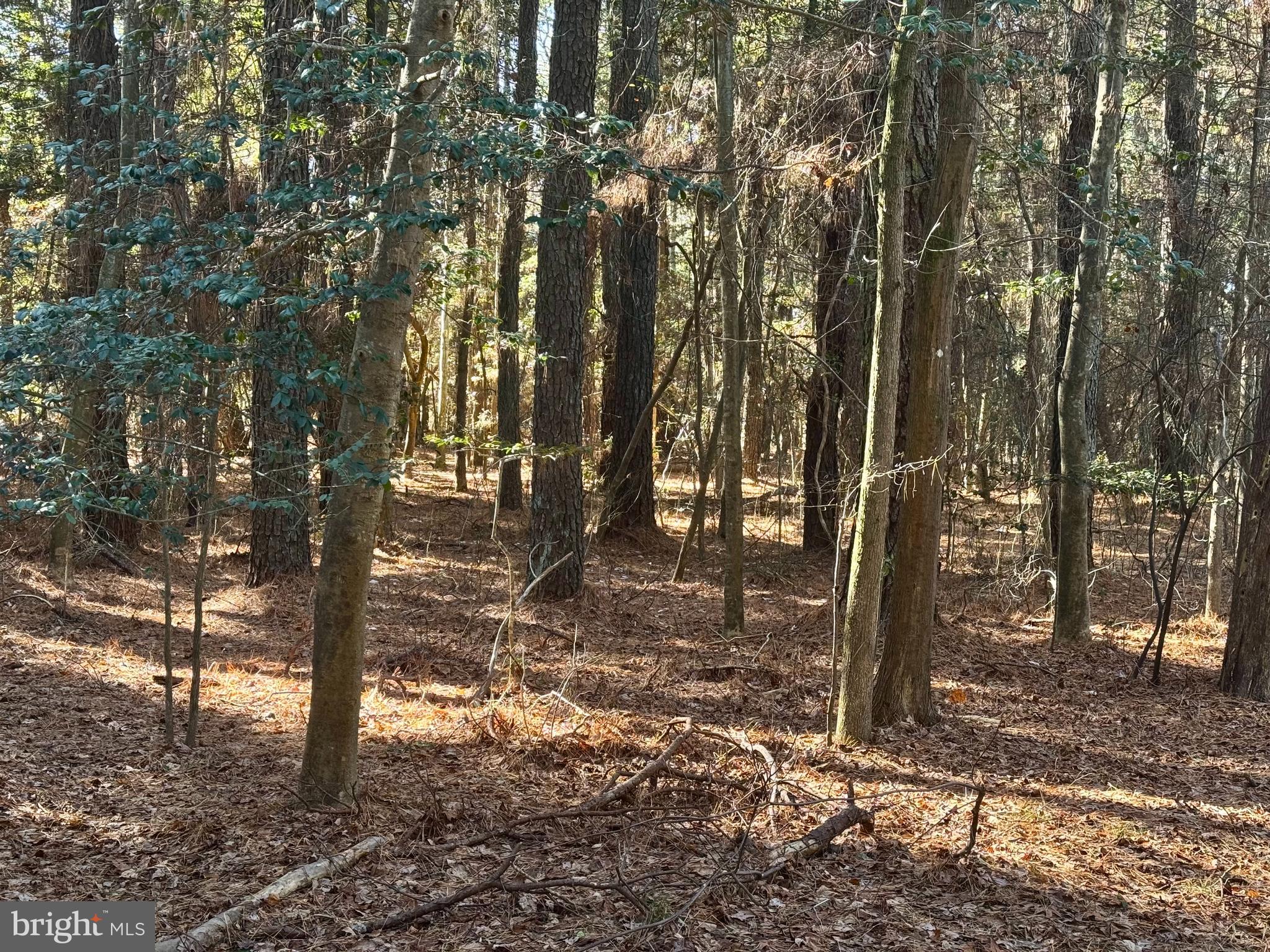 This fantastic lot in Section 1 has access to public water and sewer! This building site is just under a quarter acre. Purchase this lot now and build at your convenience! Come and see the resort community of Captain's Cove. You won't be disappointed. Take a weekend trip and see why this development is the perfect place to call home. Make your dream a reality & start enjoying all that Captain's Cove has to offer. Features include indoor & outdoor pools, a restaurant, banquette rooms, fitness center, basketball & tennis courts, boat launch, playground, security and so much more! All included in the HOA!