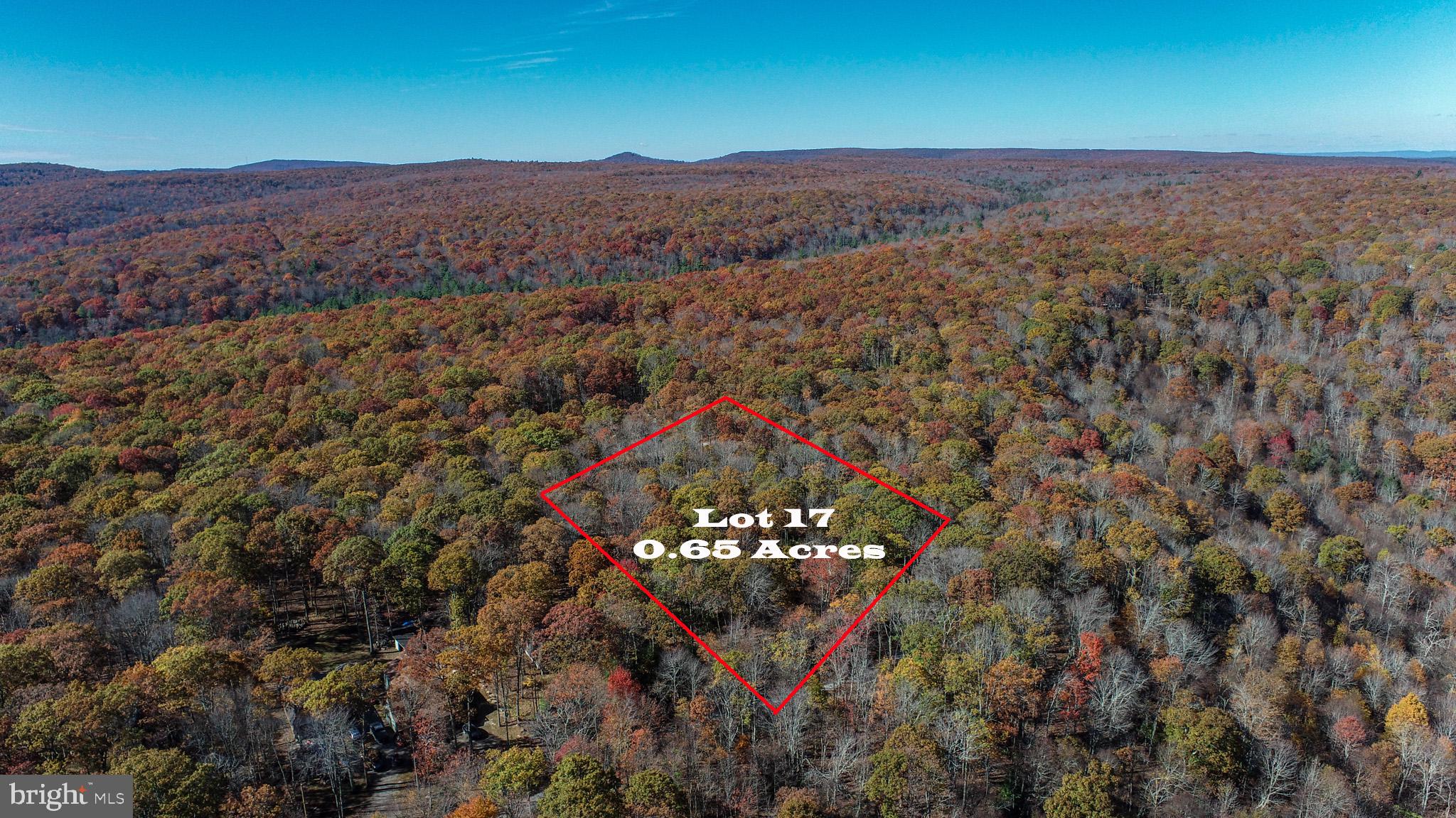 YOUGH MT. RESORT - Land