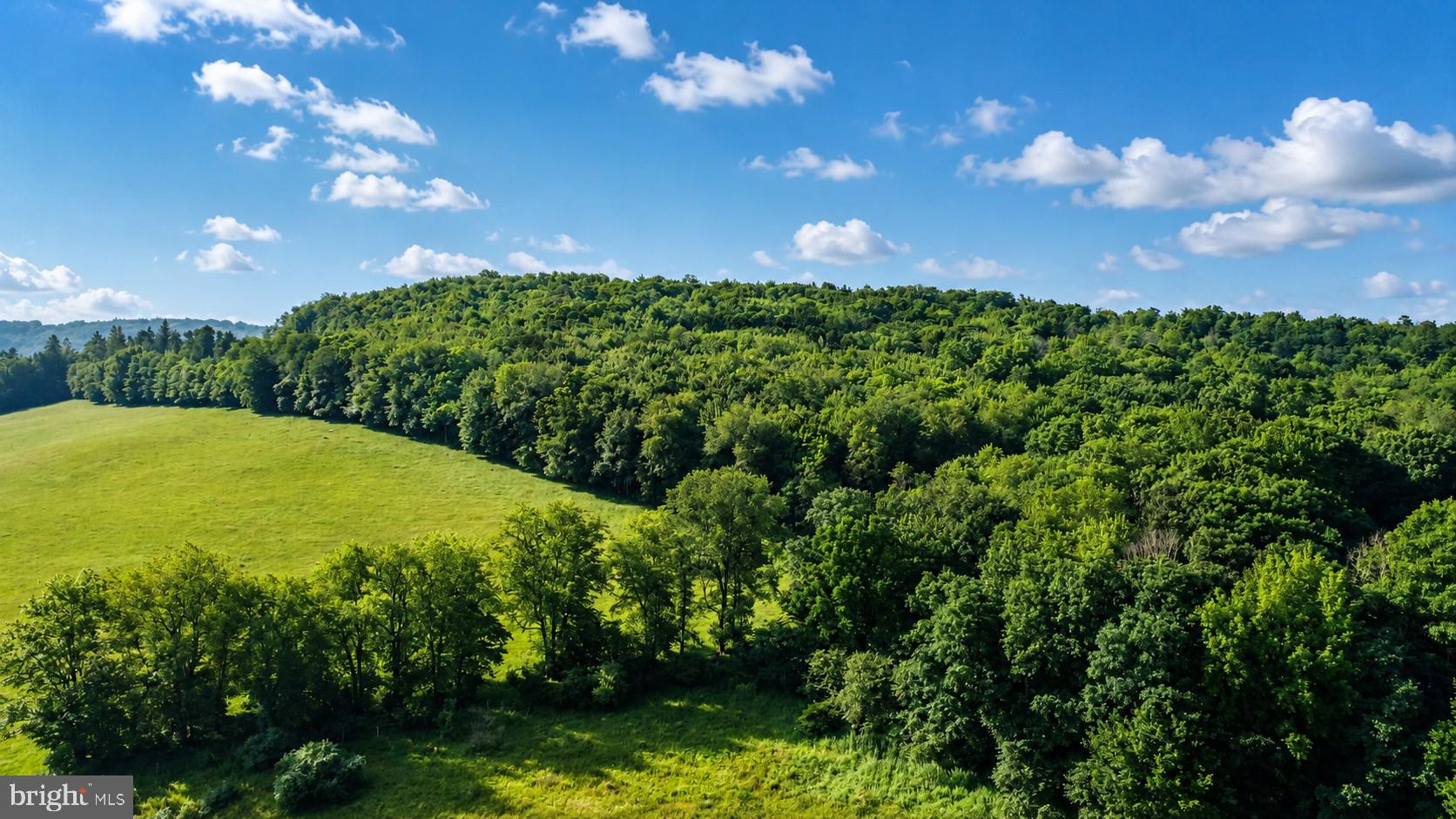 42 Acres of un-zoned mostly wooded property located near Oakland and Deep Creek Lake MD.   The property offers great opportunities for a variety of uses and also provides great views.  Access to the property is off of Garrett Road via Loch Deer Road.  The property has been surveyed.