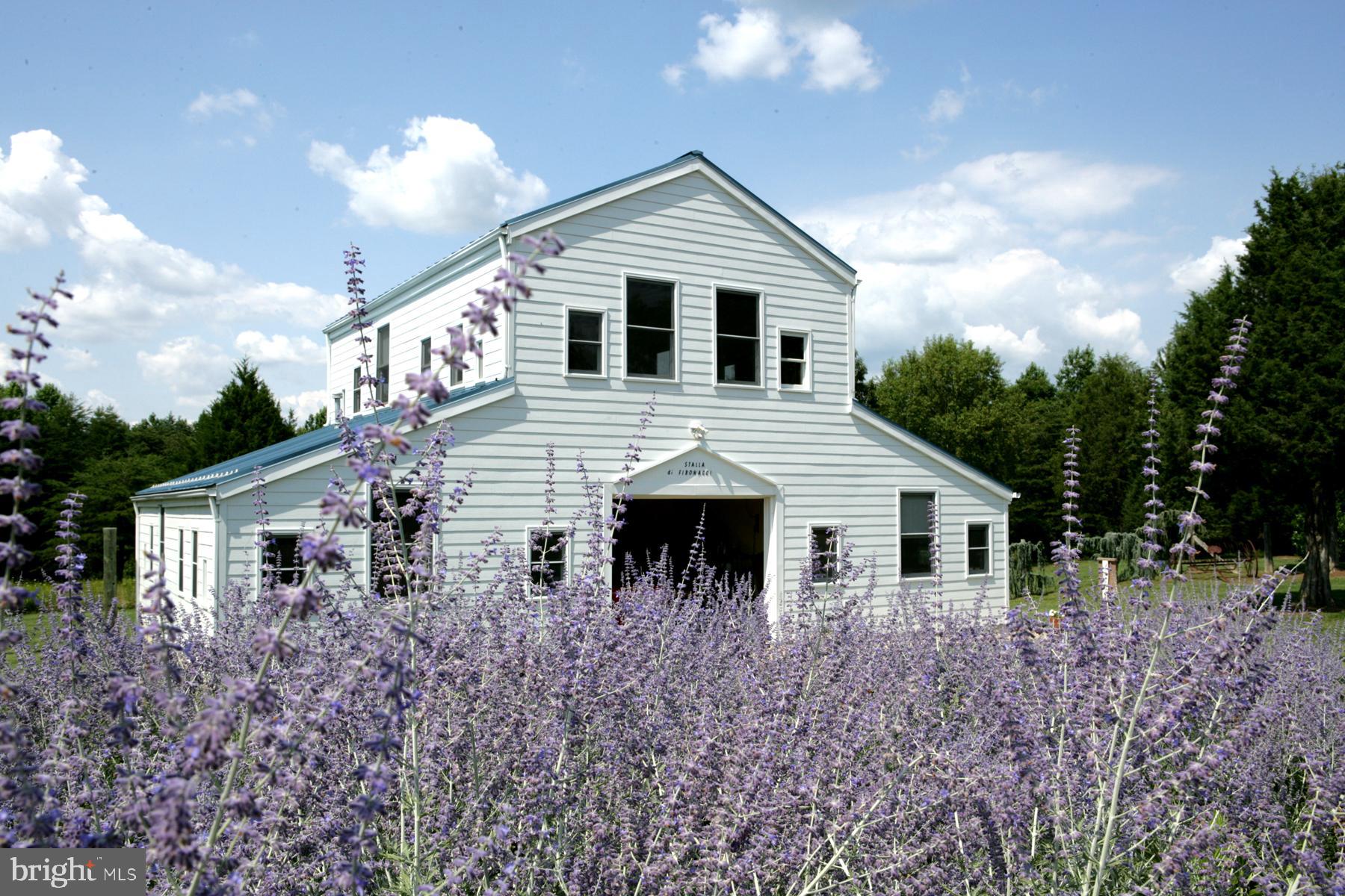 SPOTSYLVANIA - Farm