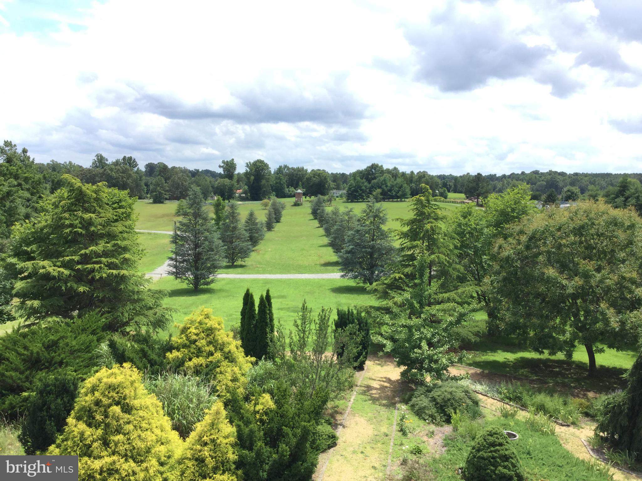 SPOTSYLVANIA - Farm