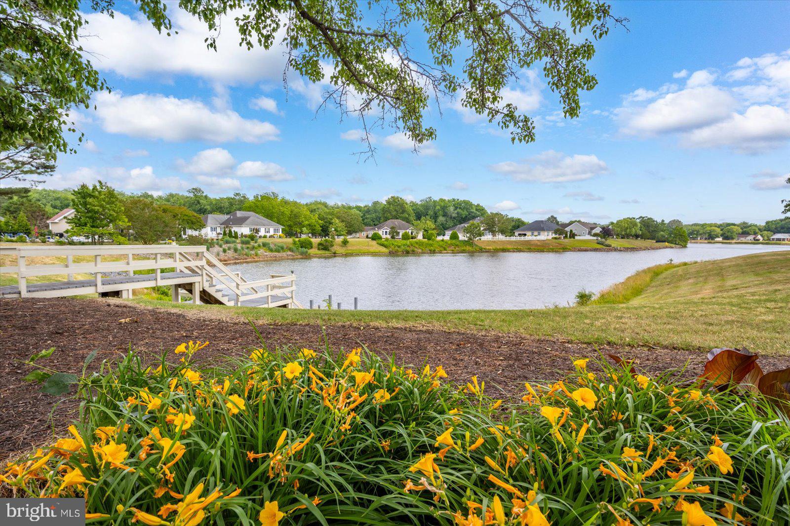 MILL POND - Residential