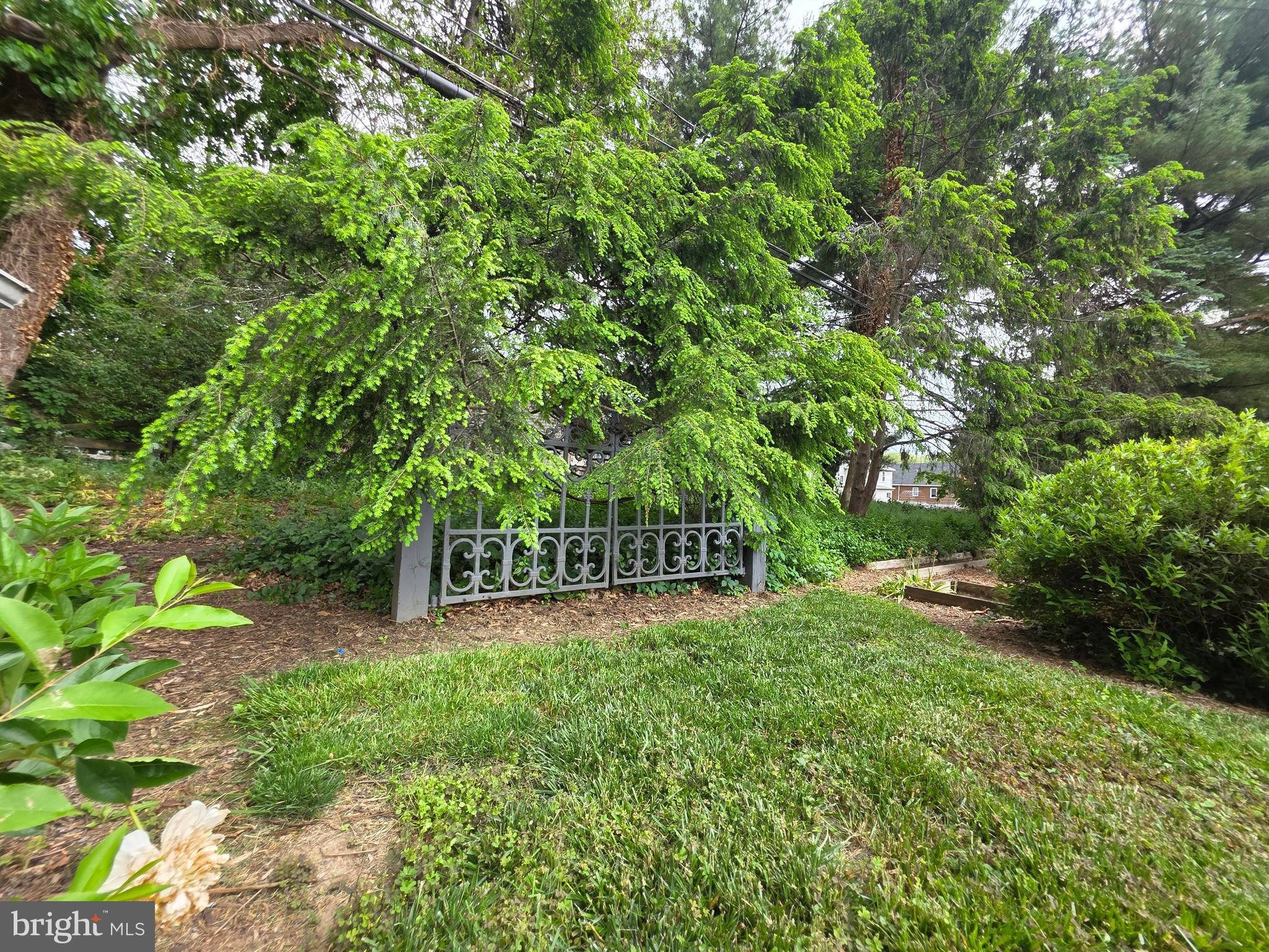 FOUNTAIN HEAD - Residential