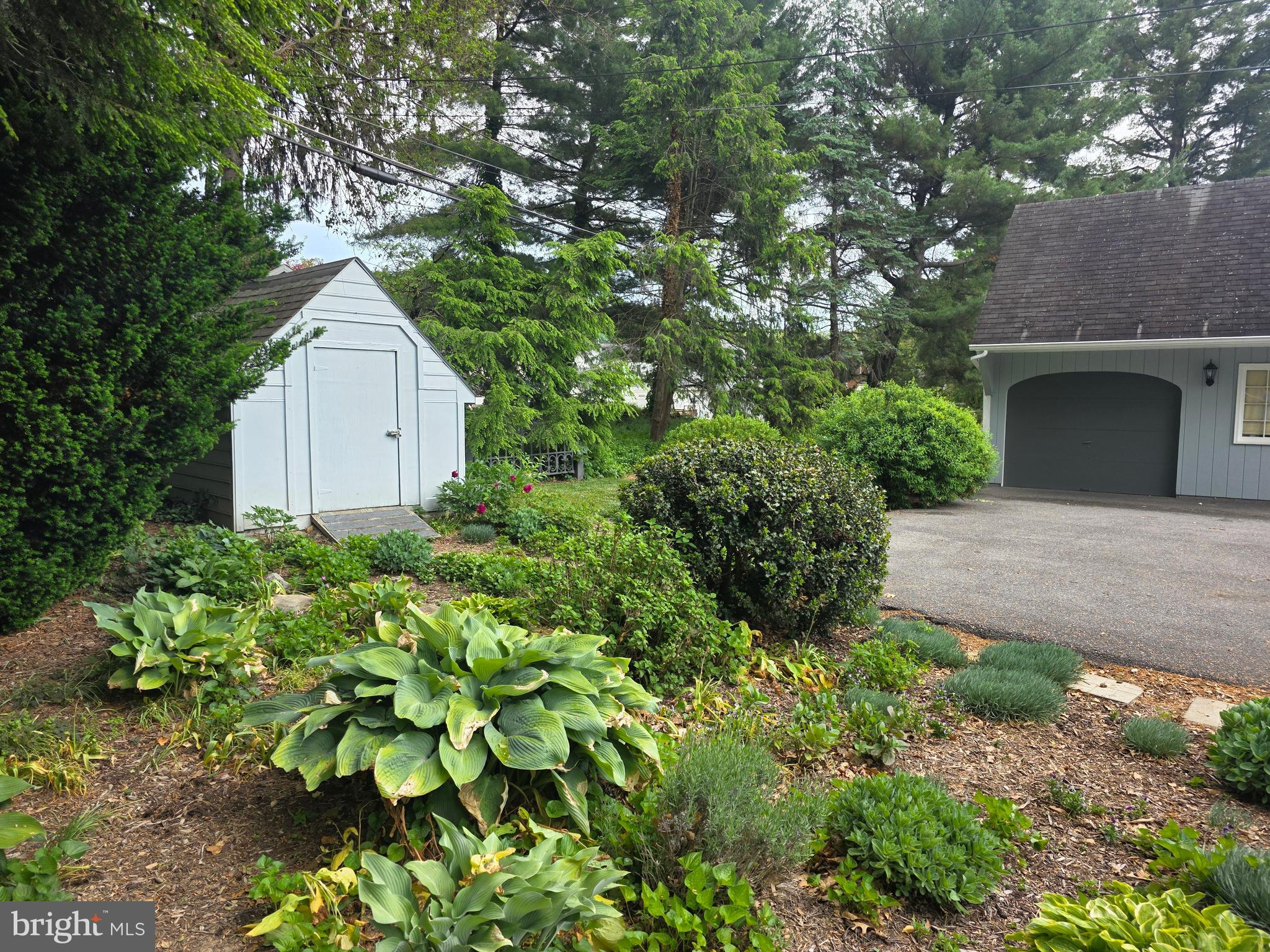 FOUNTAIN HEAD - Residential
