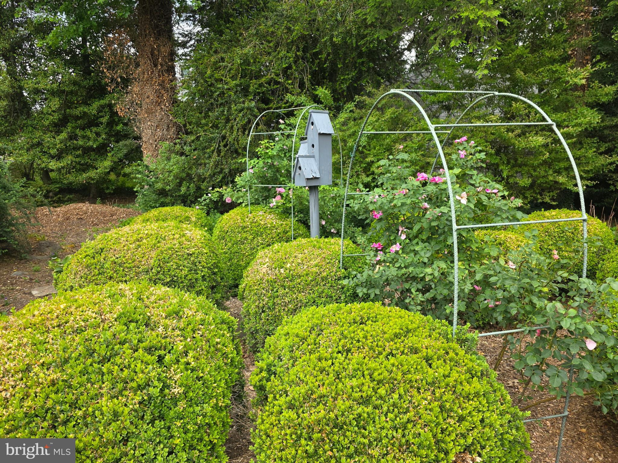 FOUNTAIN HEAD - Residential