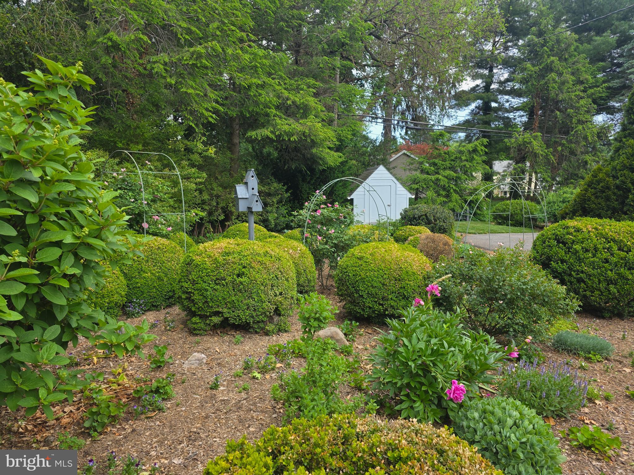 FOUNTAIN HEAD - Residential