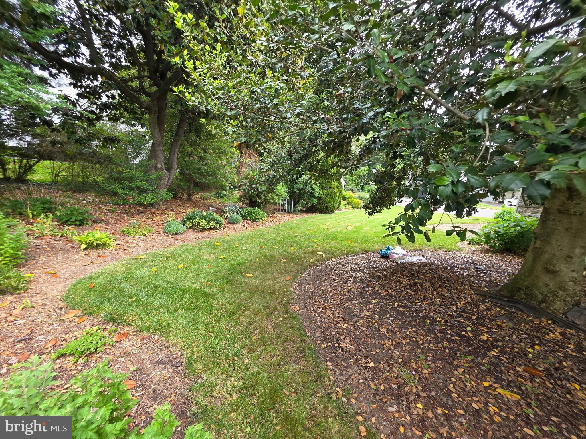 FOUNTAIN HEAD - Residential