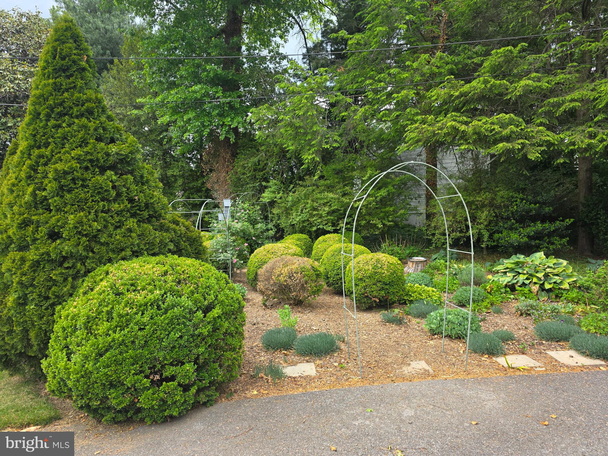 FOUNTAIN HEAD - Residential