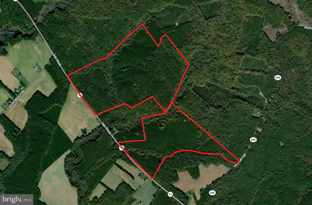 Sally White Tract (BK2142) — Key Land & Tax Summary
The Sally White Tract is approximately 302 acres, positioned along a defined access point off The Trail, providing direct and reliable entry into a contiguous block of conserved forestland within the Dragon Run watershed. This established frontage enhances usability and operational access, while the tract itself remains embedded within a broader network of protected timberland and wetland systems . Protected under a conservation easement held by The Nature Conservancy, the property is permanently maintained as a working forest—preserving its ecological integrity while supporting sustainable timber management.

The tract is defined by its scale and continuity, contributing to one of the largest unfragmented forest systems in the lower Chesapeake Bay region. Its timber base supports ongoing forest management practices, while its position within the Dragon Run and Mattaponi River corridor reinforces both habitat value and long-term environmental significance. As part of this broader conservation landscape, the property benefits from structural protections that prioritize land continuity and ecological function.

Per paragraph 2.1 Subdivision and paragraph 2.2 Building Envelopes, these properties can be managed for limited residential use, designed to minimize impact on the surrounding forest. The tract’s size and internal access also support a range of recreational uses, including hunting and passive land enjoyment, without compromising its primary function as managed timberland.

The Sally White Tract is best understood as a scaled, institutionally aligned landholding—where conservation objectives and biological productivity converge within a protected and increasingly scarce forest system.

Property boundaries are estimated based on available data and are not warranted. Property owner to provide title research for Buyer prior to closing. 

Location & Identity
Name: Sally White Tract
Legal Description: Sally White #2142 and Sally White #2 #6680
Parcel ID: 24-31L-961 and 24-31L-944
County: King and Queen County, VA
Coordinates: 39.0457549, -76.6412712

Acreage & Size
Total Acres: 302 acres (note: marketed 302 acres—needs reconciliation) 

Volume Breakdown
Hardwoods
Sawtimber: 436.57 MBF 
Pulpwood: 2,586.36 tons

Softwoods
Sawtimber: 1,727.20 MBF
Pulpwood: 10,390.82 tons

Assessment and Taxes
Assessed Value (2025): $672,100
Land Value: $672,100 (no improvement value)
Tax Amount: $3,494.92 annually