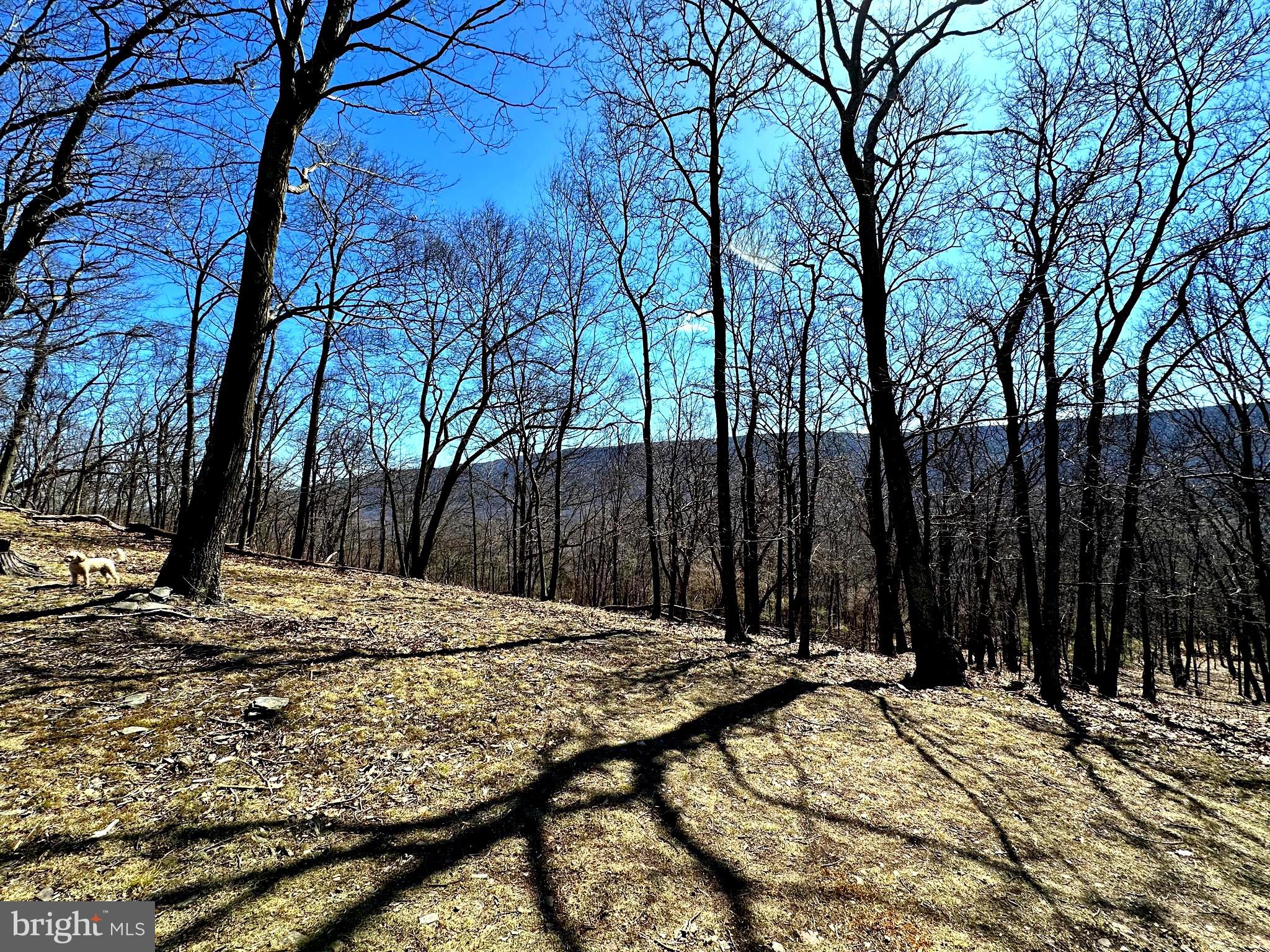 THE PRESERVE AT NEW CREEK LAKE - Residential