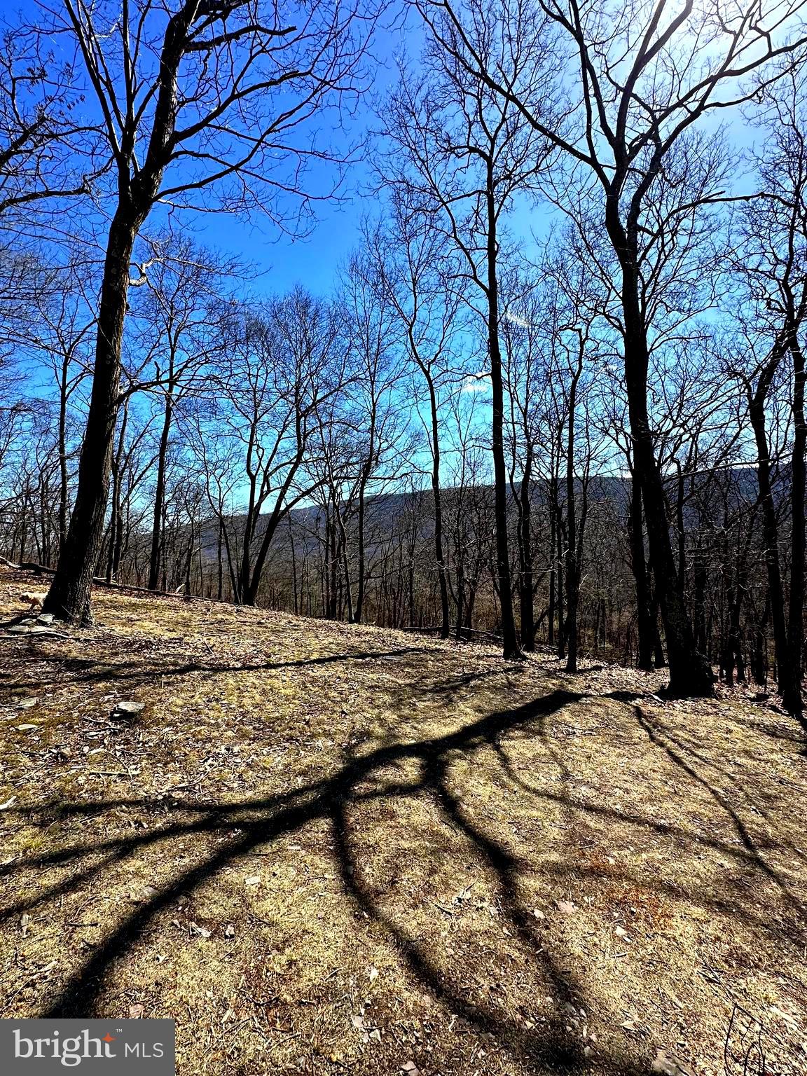 THE PRESERVE AT NEW CREEK LAKE - Residential