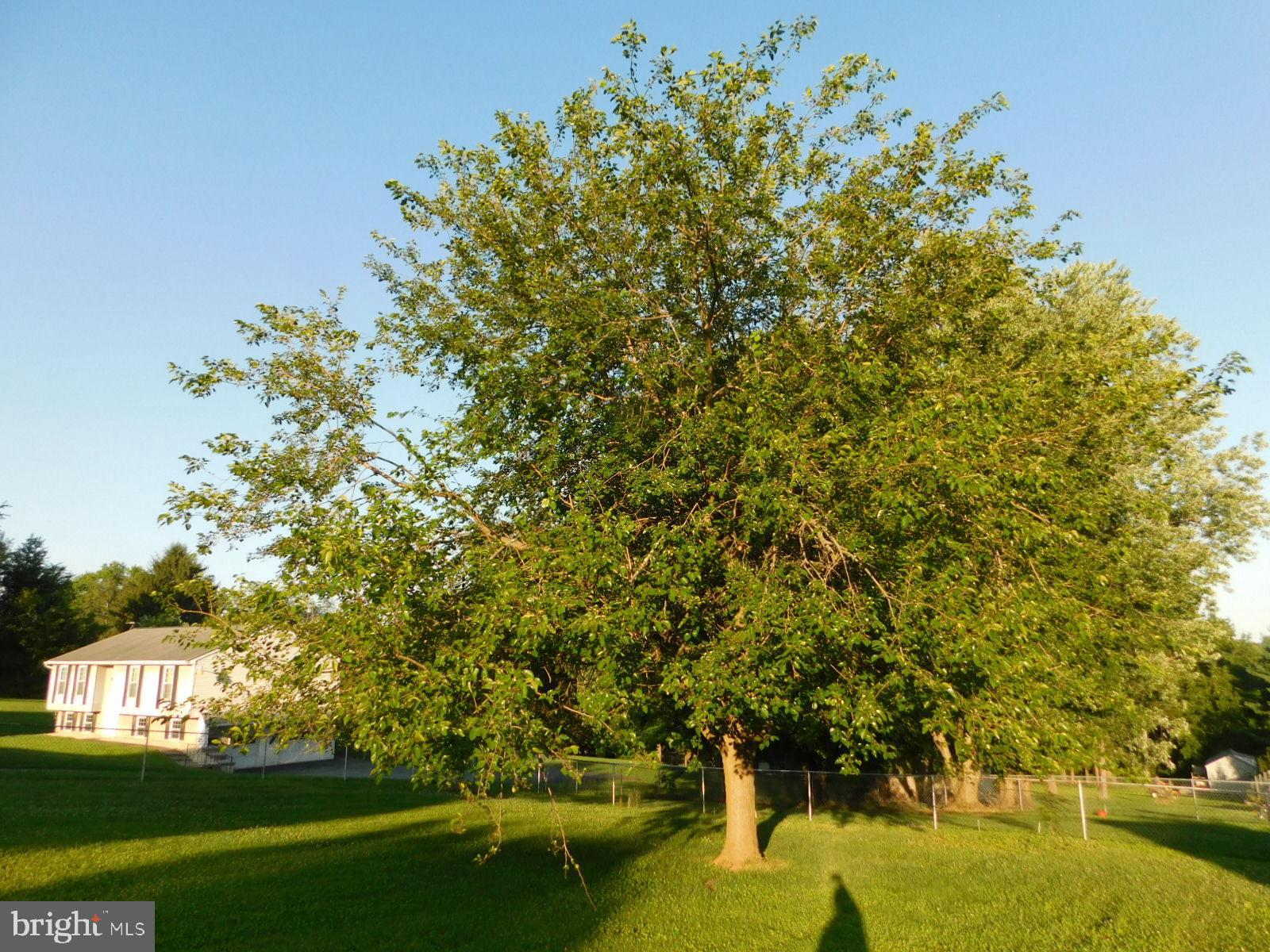 ELPACO FARMS - Residential