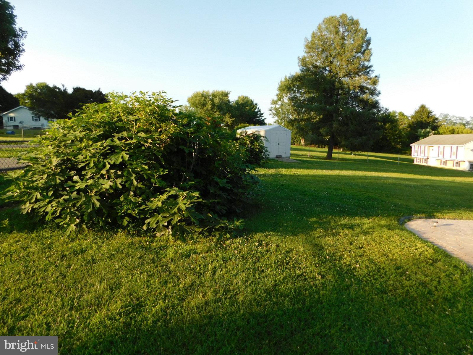 ELPACO FARMS - Residential
