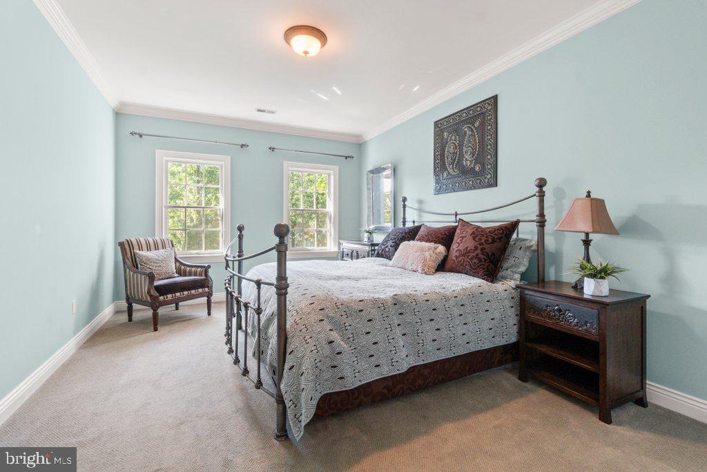 CHESTNUT WOODS - Residential