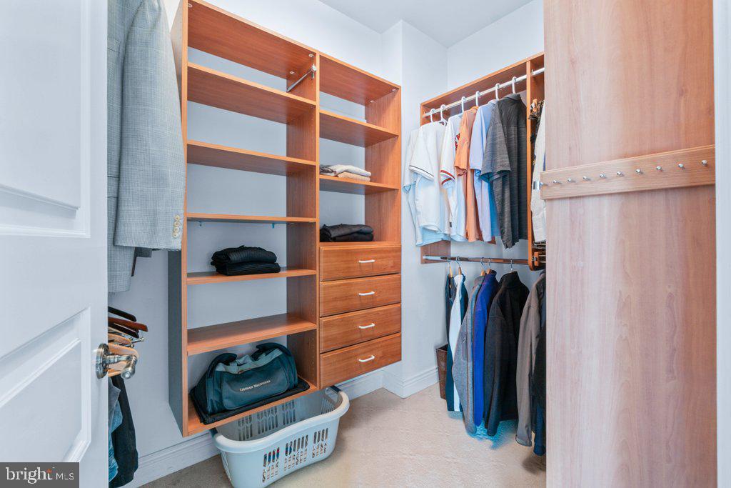 CHESTNUT WOODS - Residential